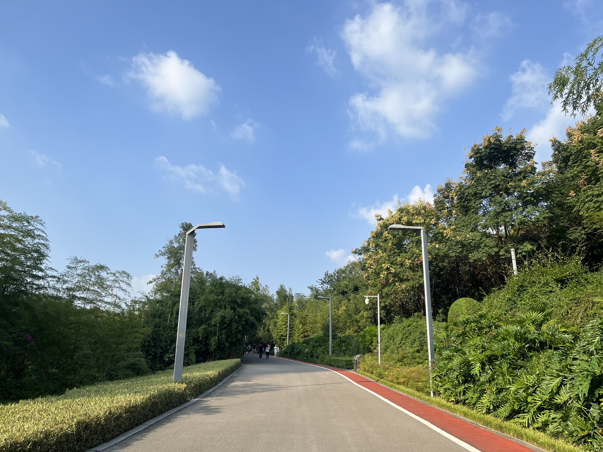 重庆中央公园旅行图片 2