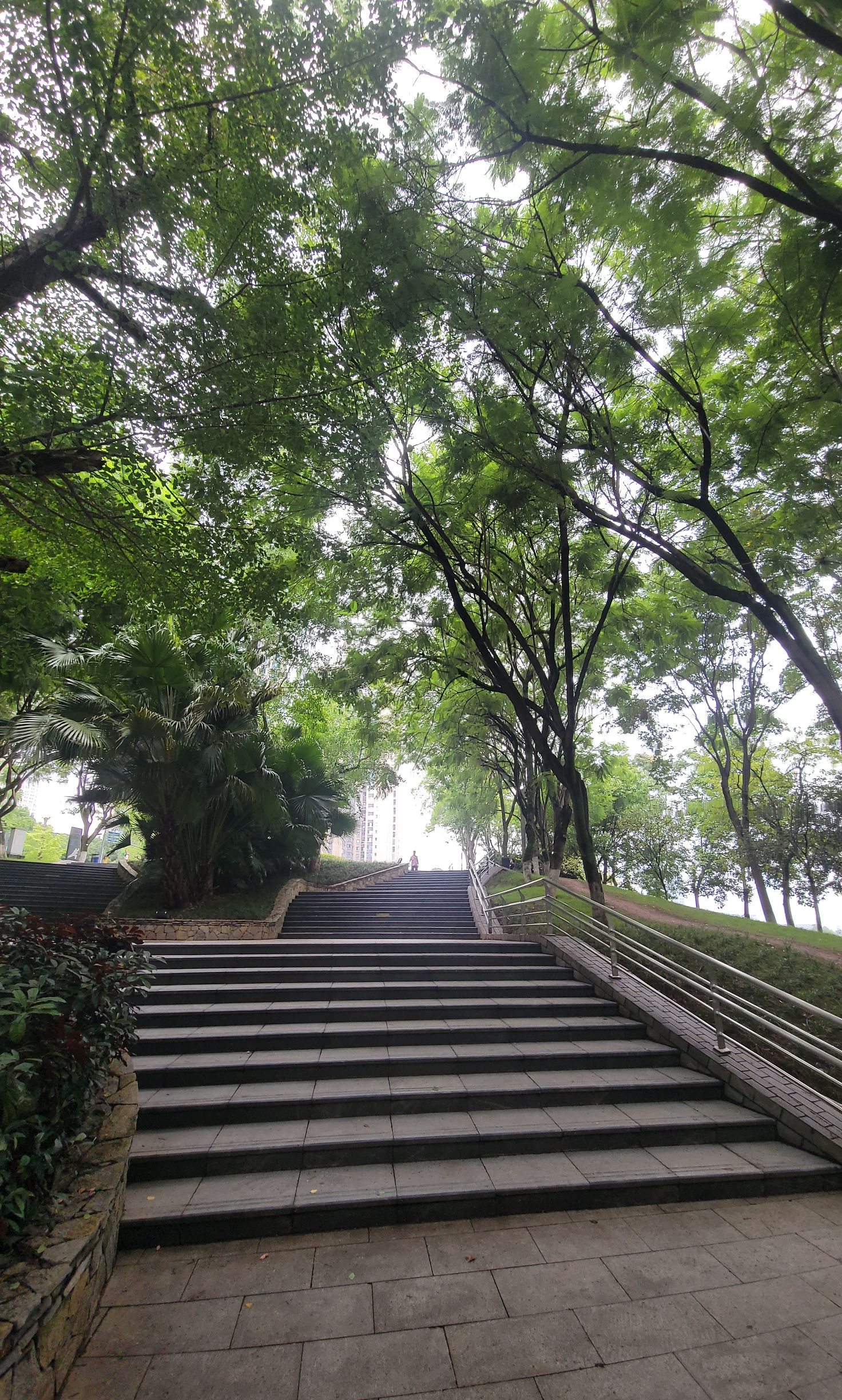 江北石子山体育公园旅行图片 3