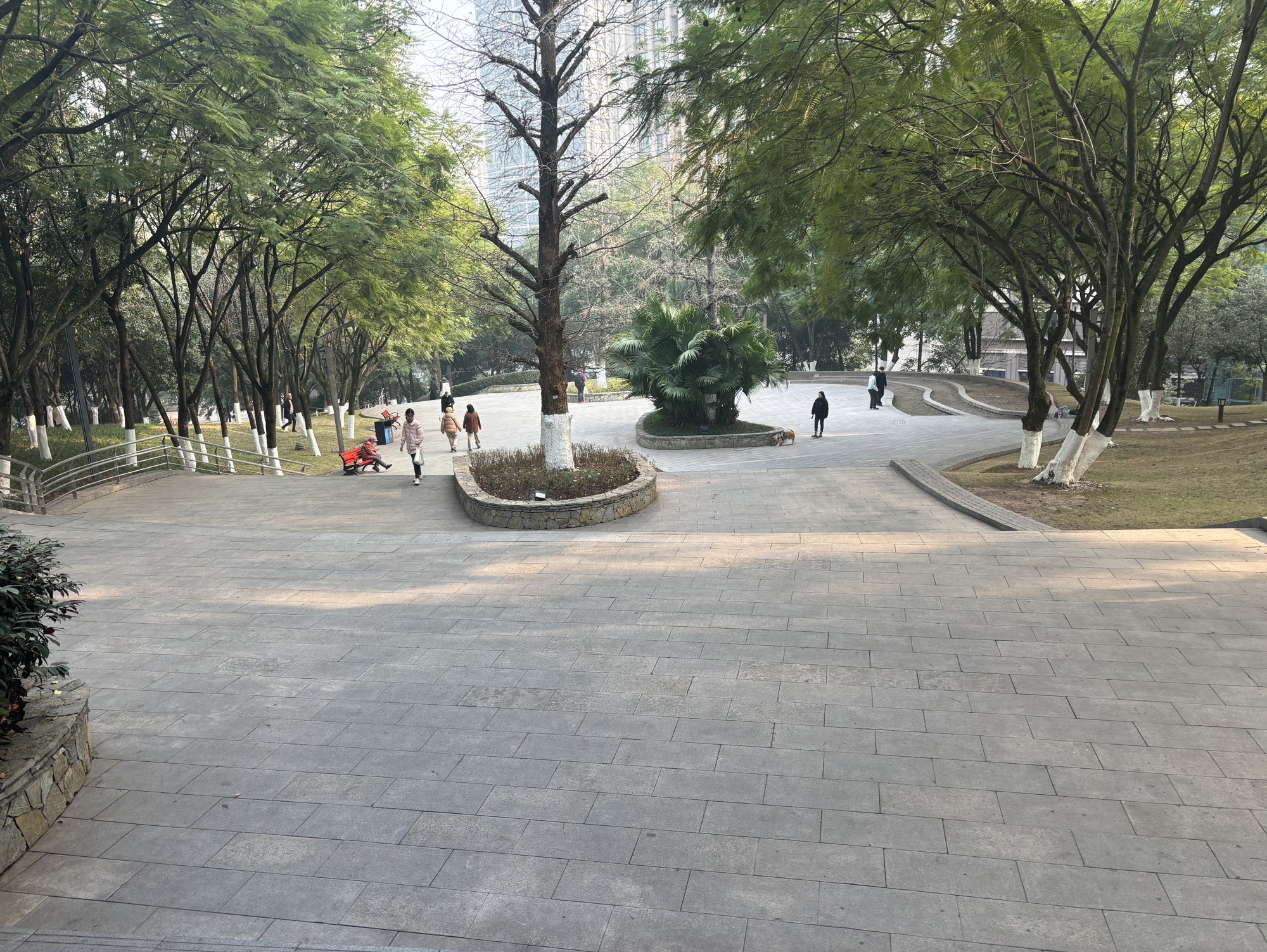 江北石子山体育公园旅行图片 3