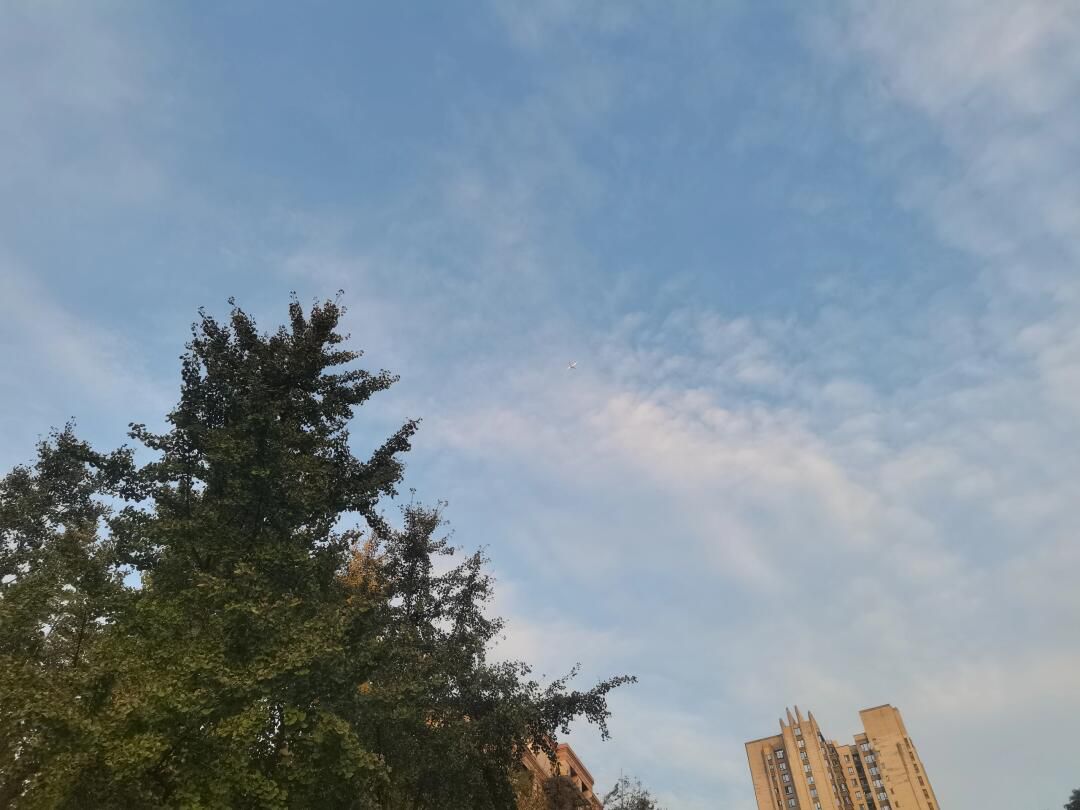 江北石子山体育公园旅行图片 2