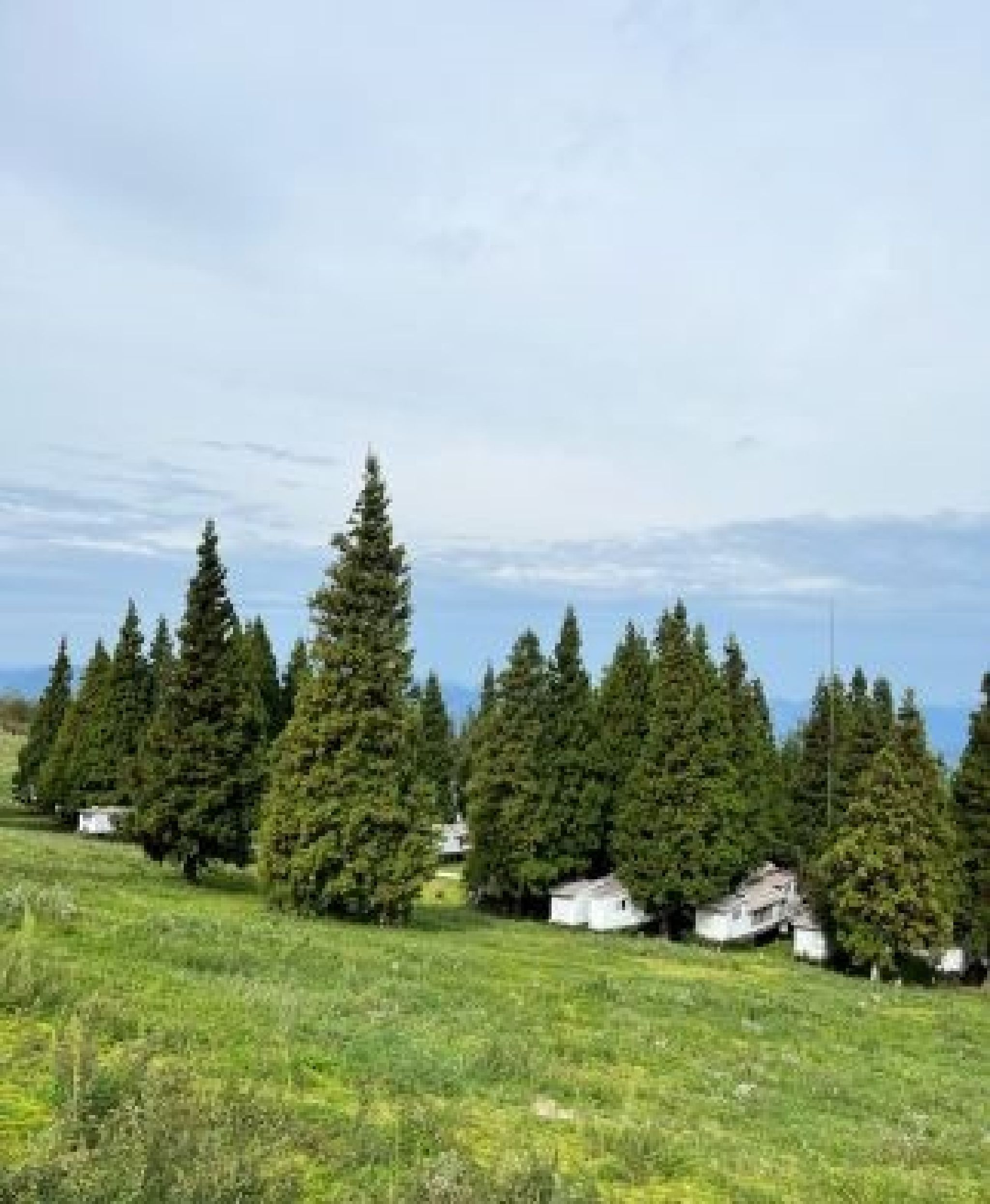 歧山草场旅行图片 1