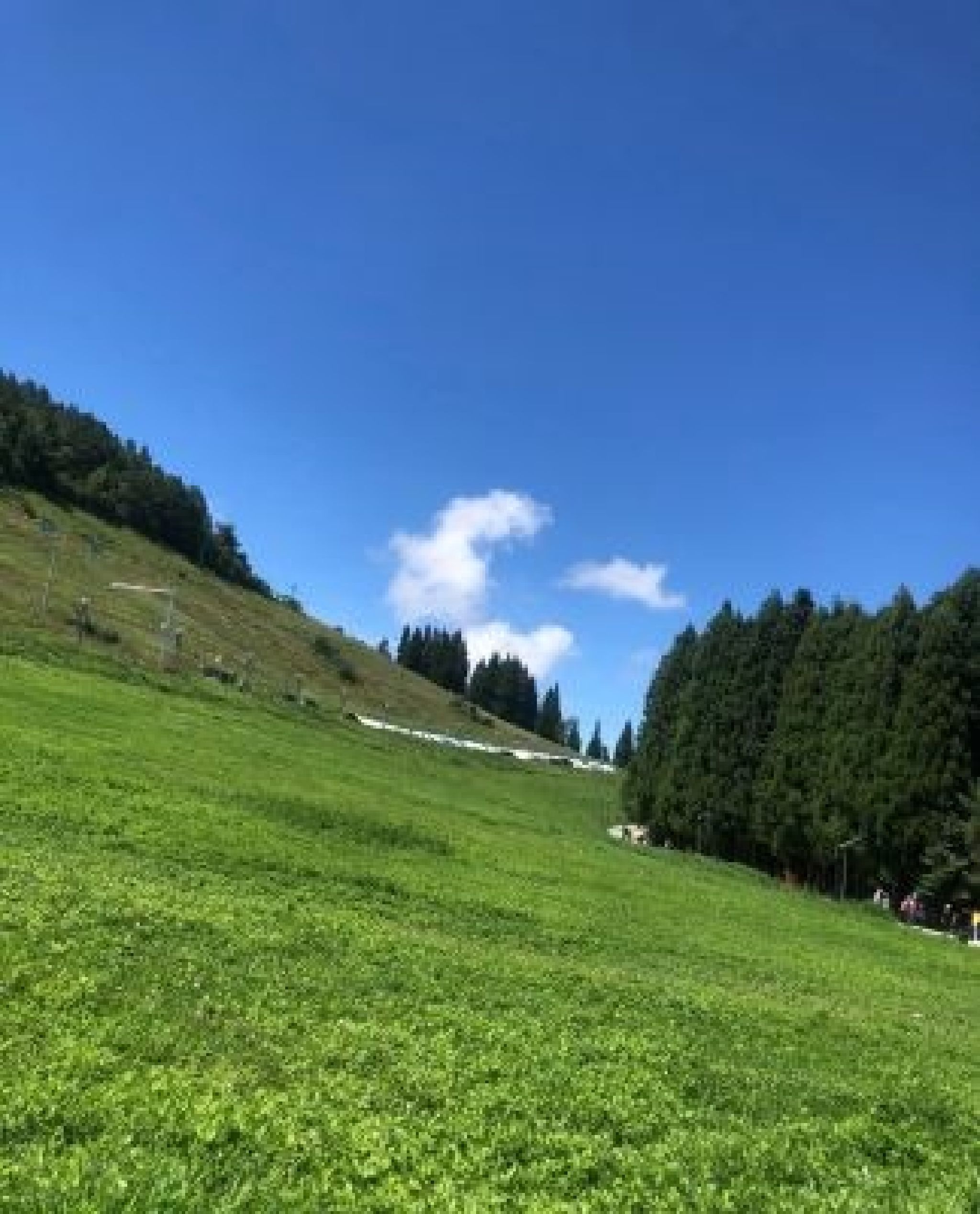 歧山草场旅行图片 2