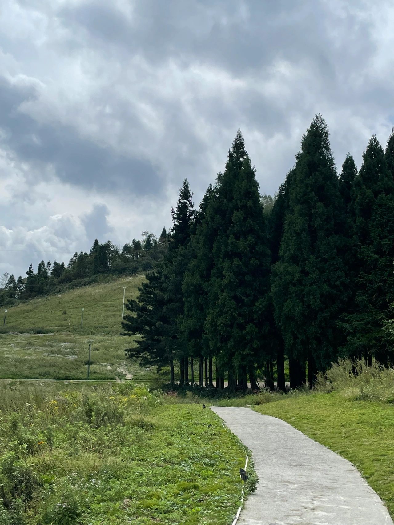 歧山草场旅行图片 3