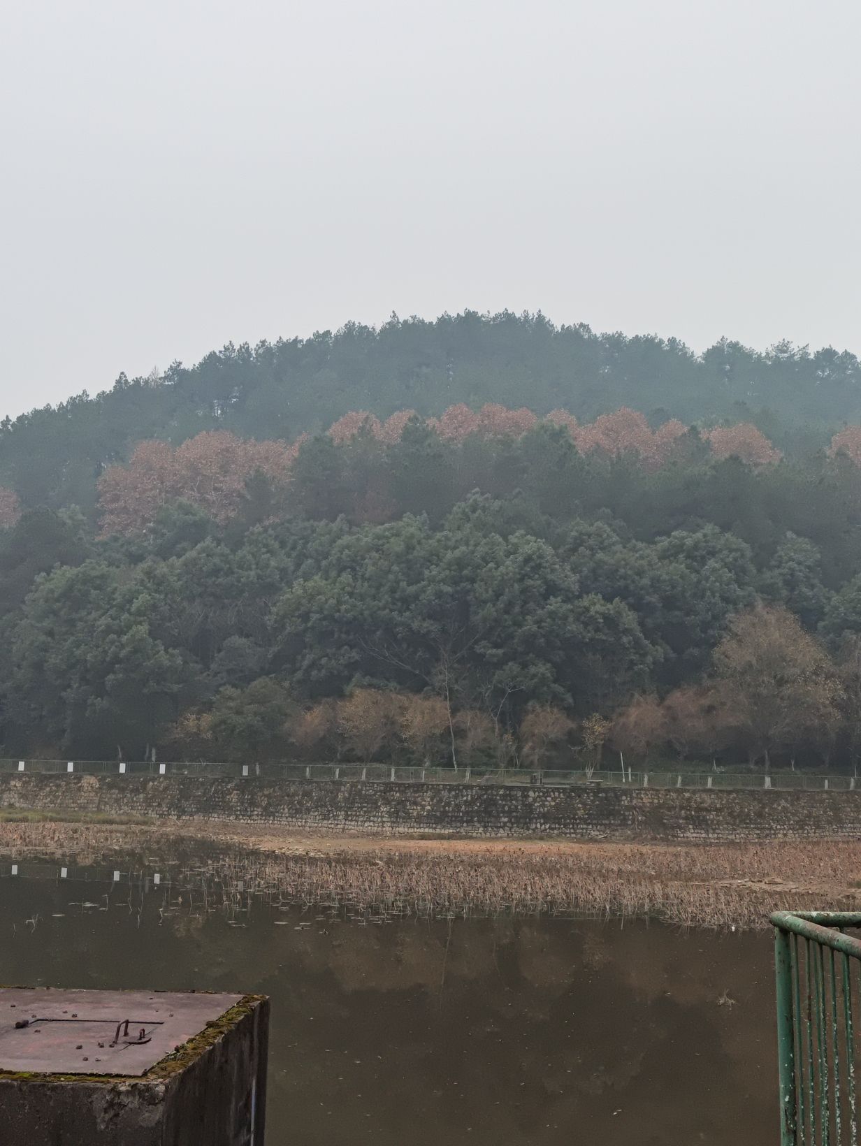 八一六公园旅行图片 2