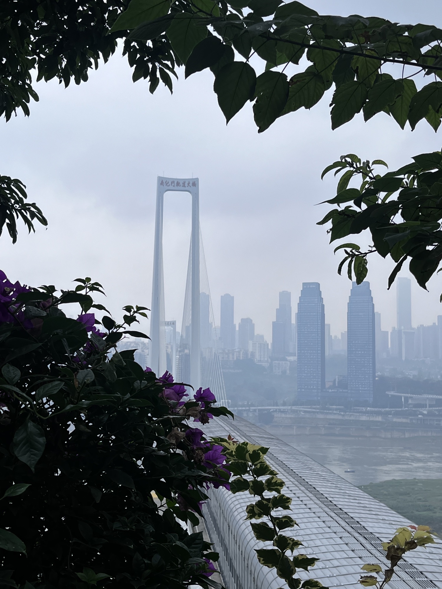 山城步道旅行图片 2