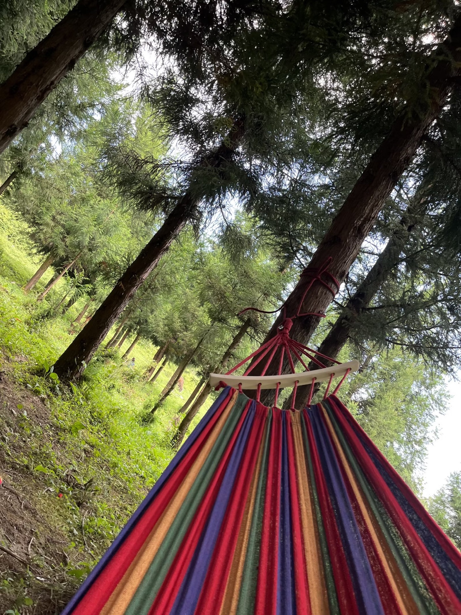 摩围山景区旅行图片 3