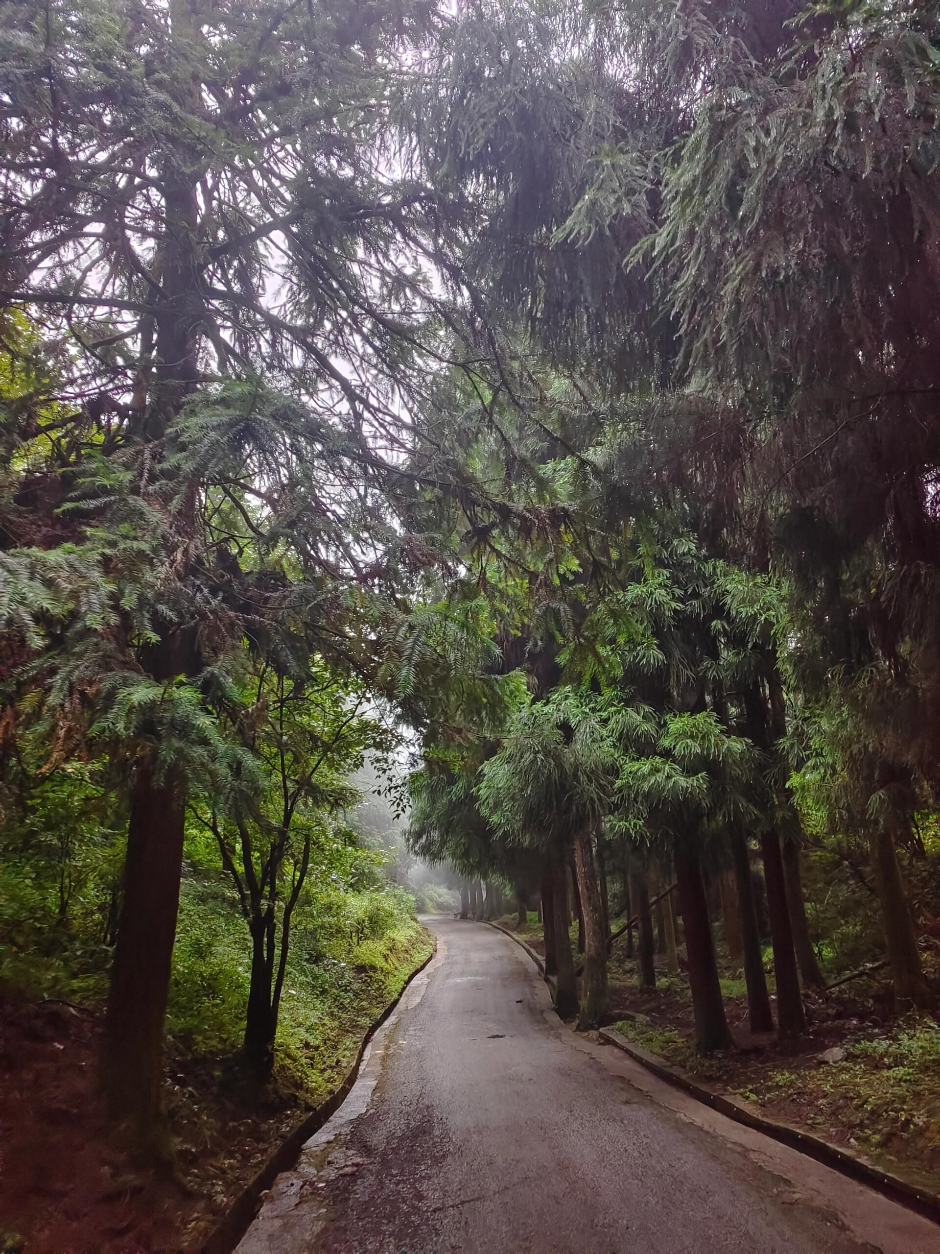 摩围山景区旅行图片 2