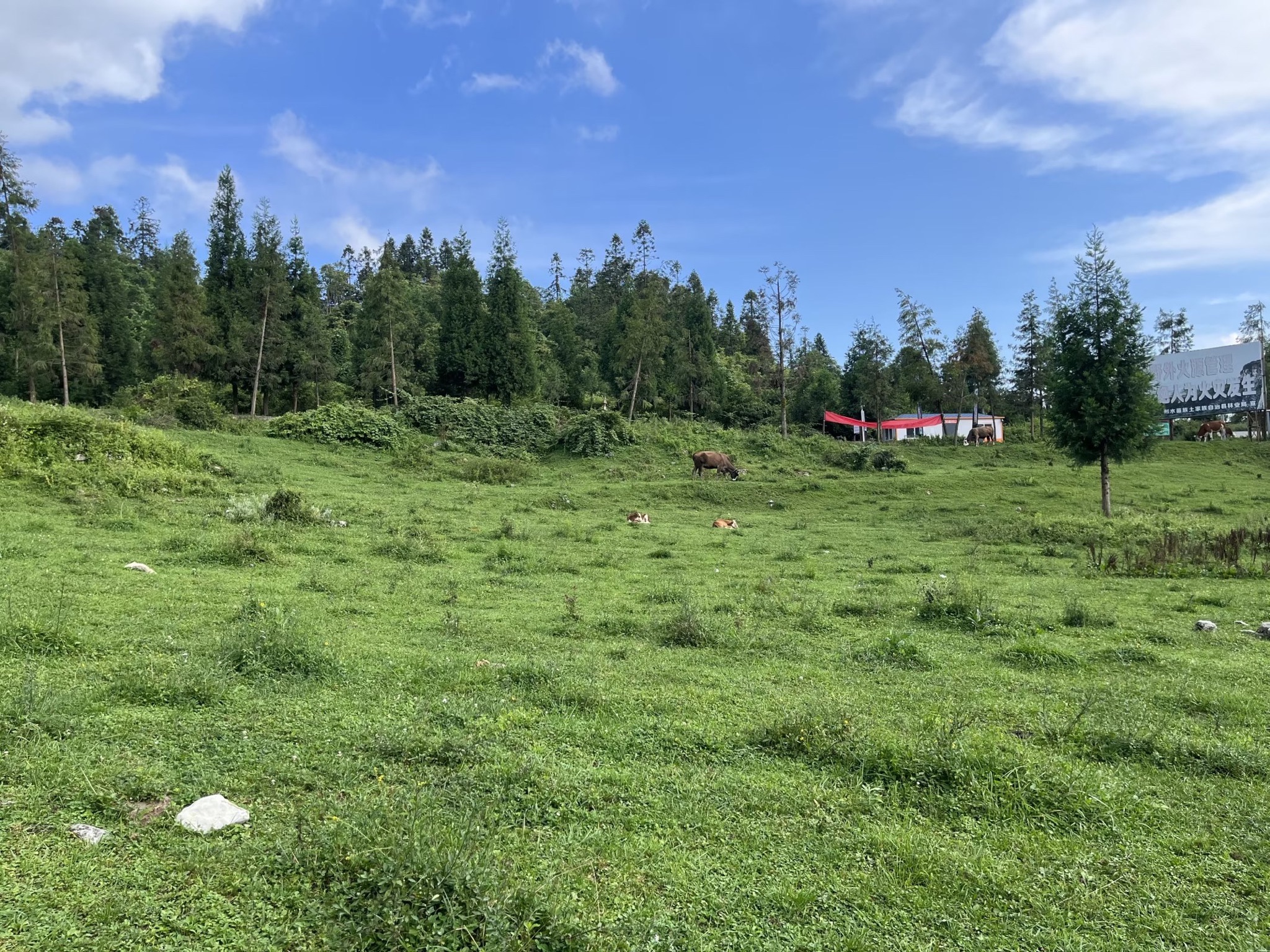 摩围山景区旅行图片 1