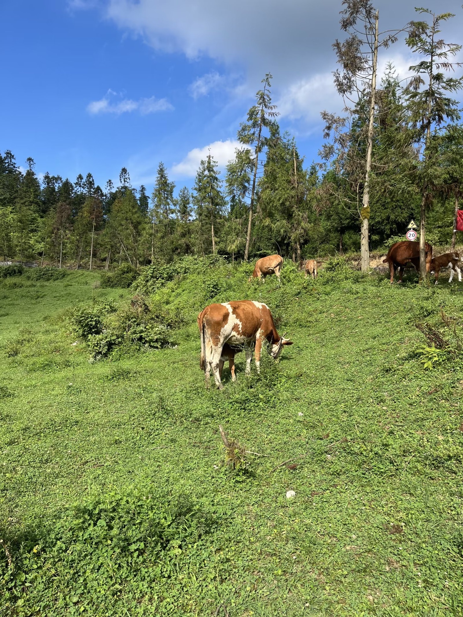 摩围山景区旅行图片 2