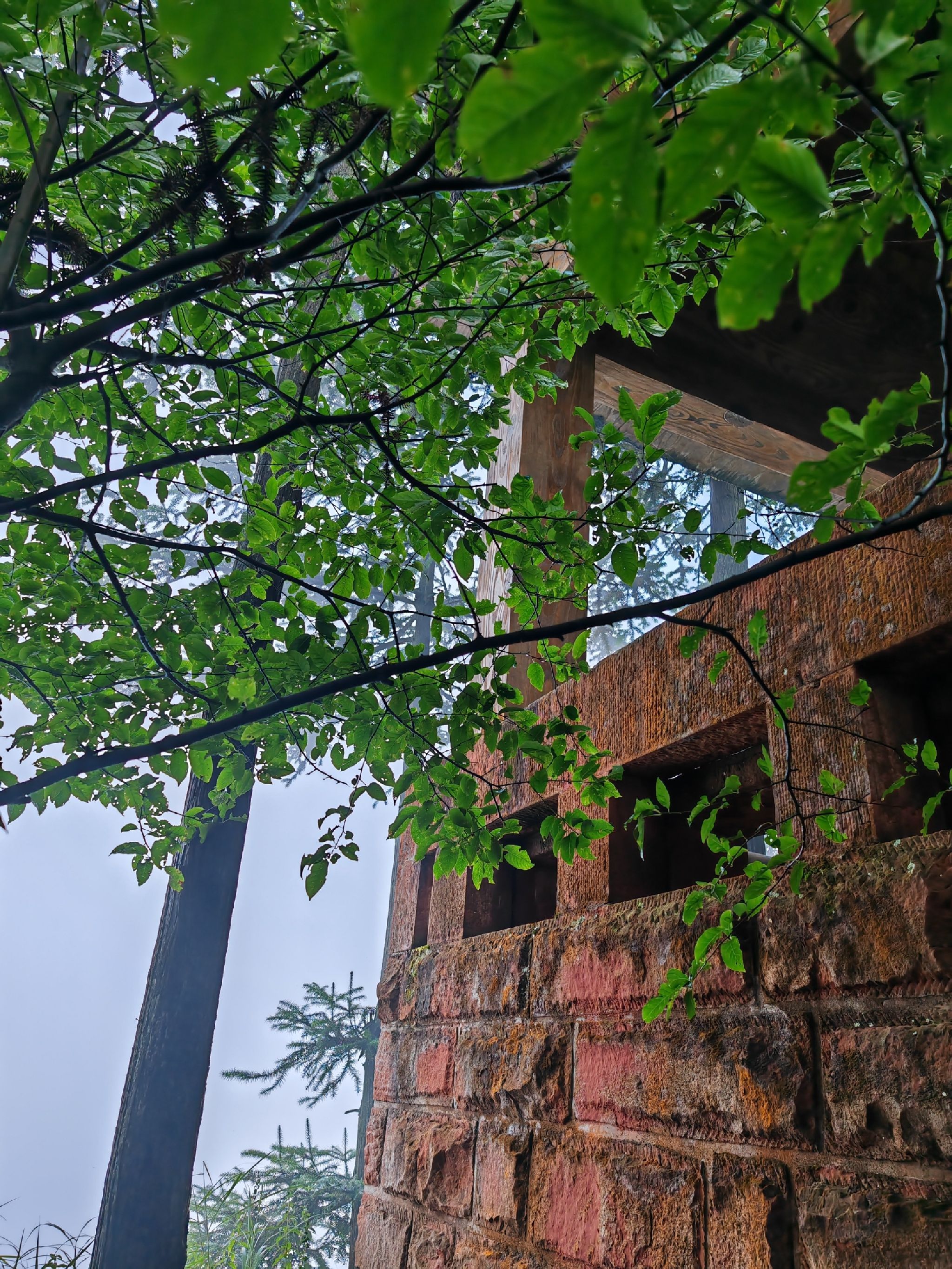 飞鸽景区旅行图片 3