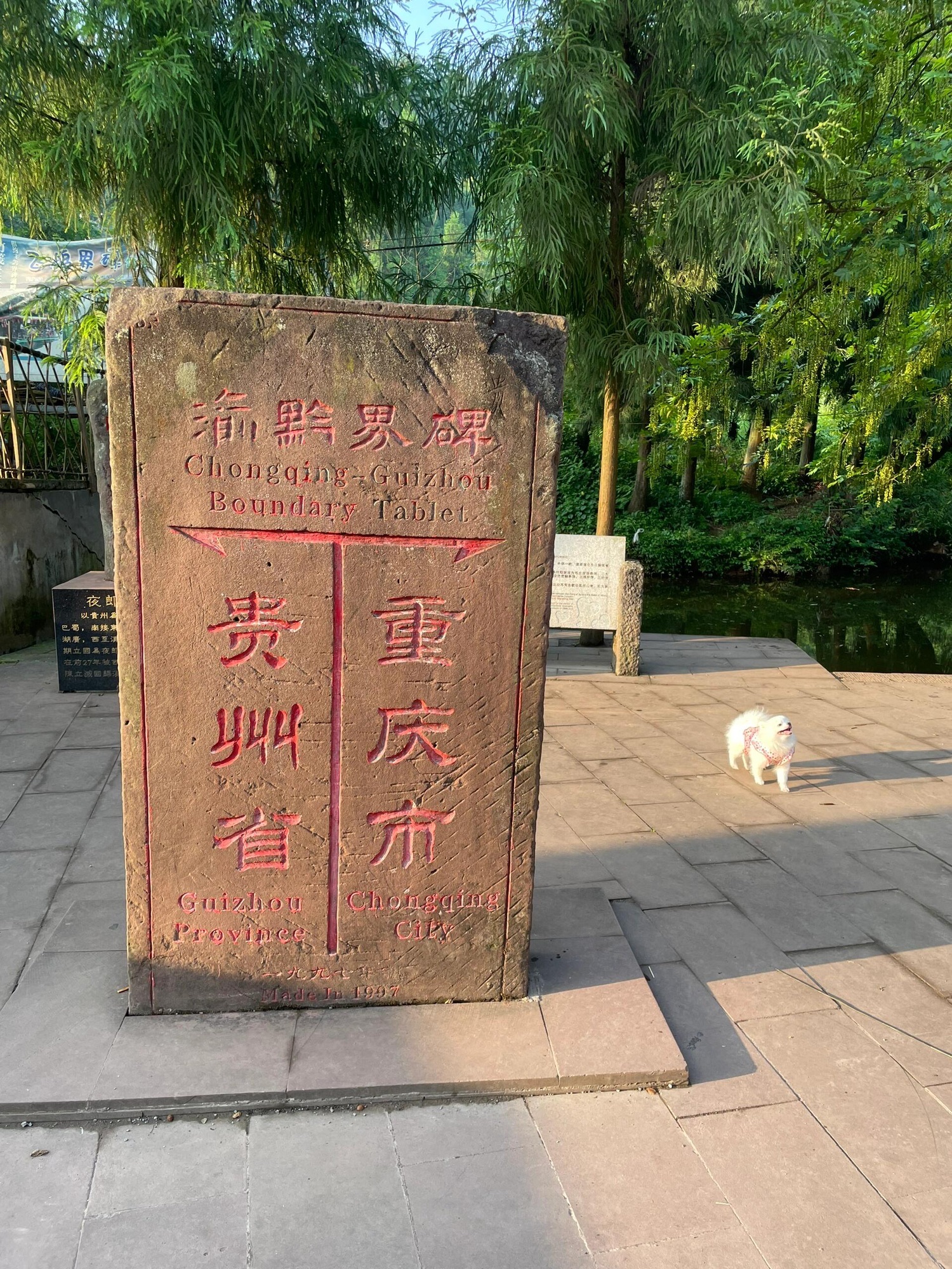 飞鸽景区旅行图片 3