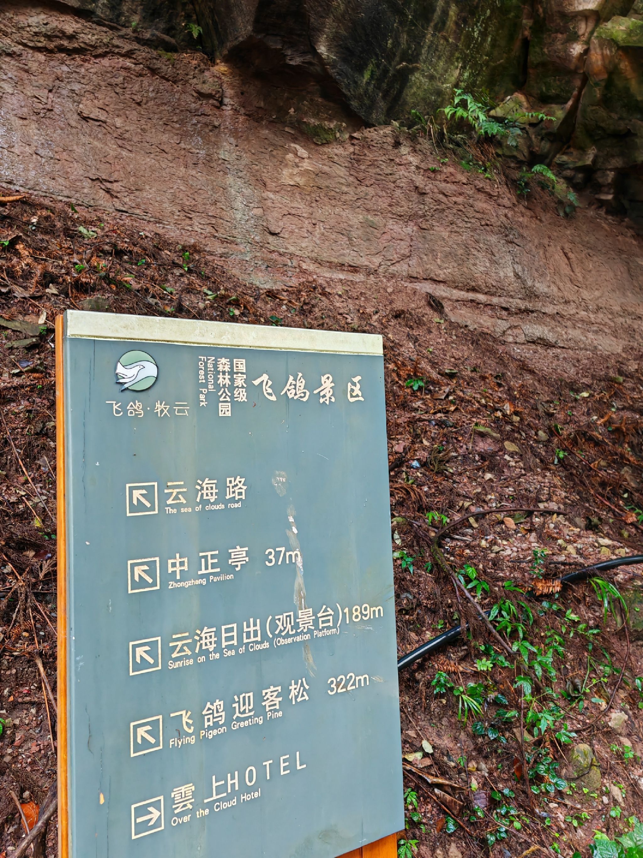 飞鸽景区旅行图片 2
