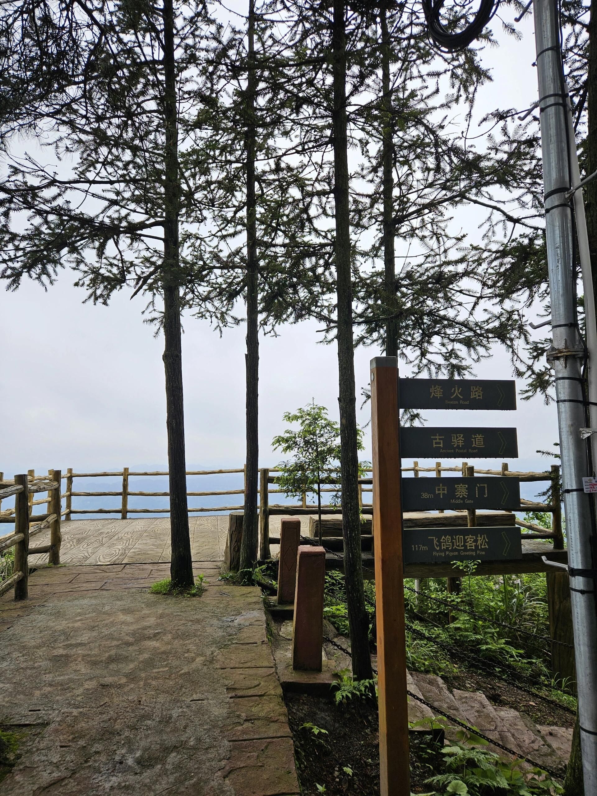 飞鸽景区旅行图片 2