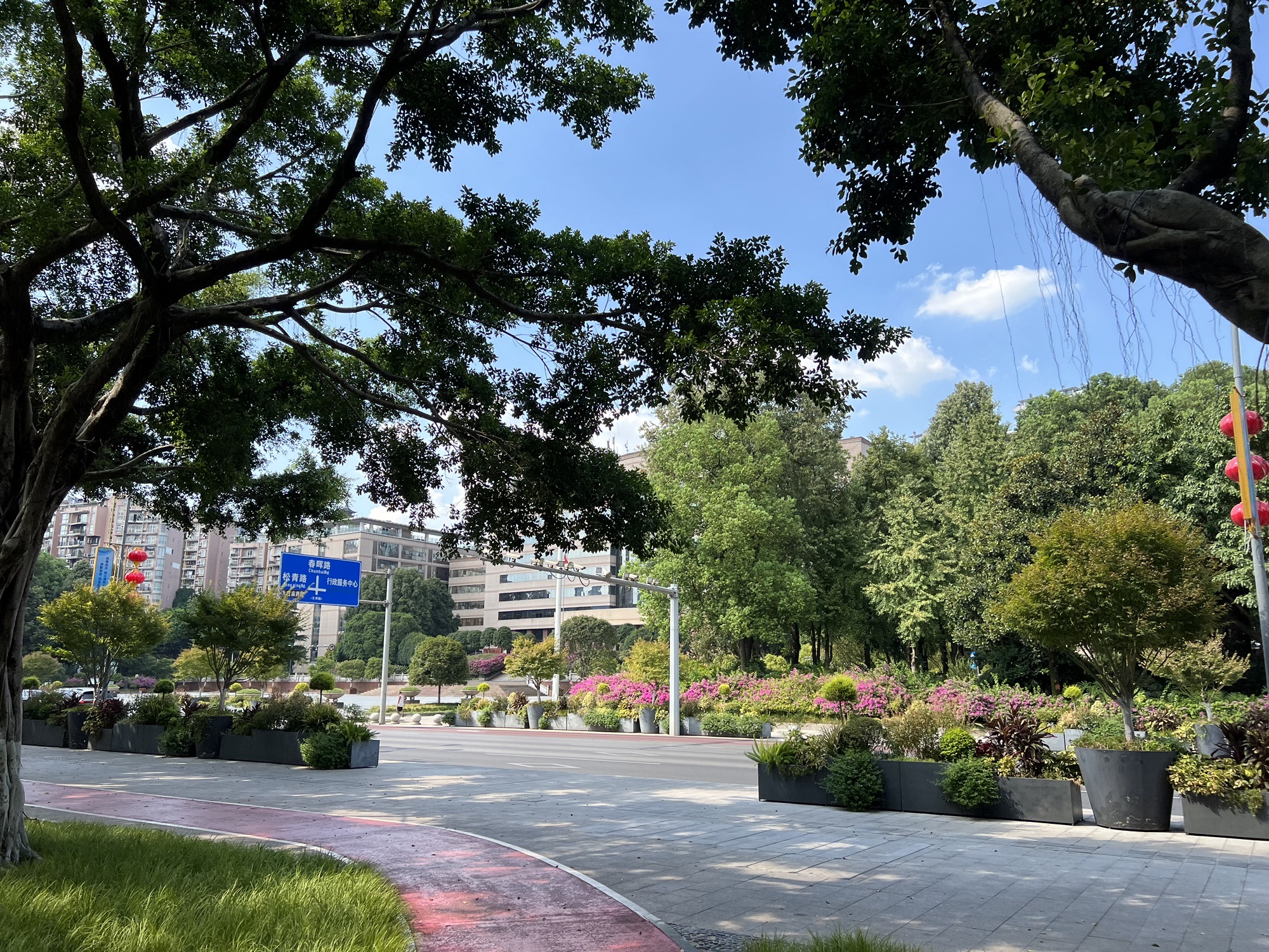 大渡口区府广场旅行图片 1