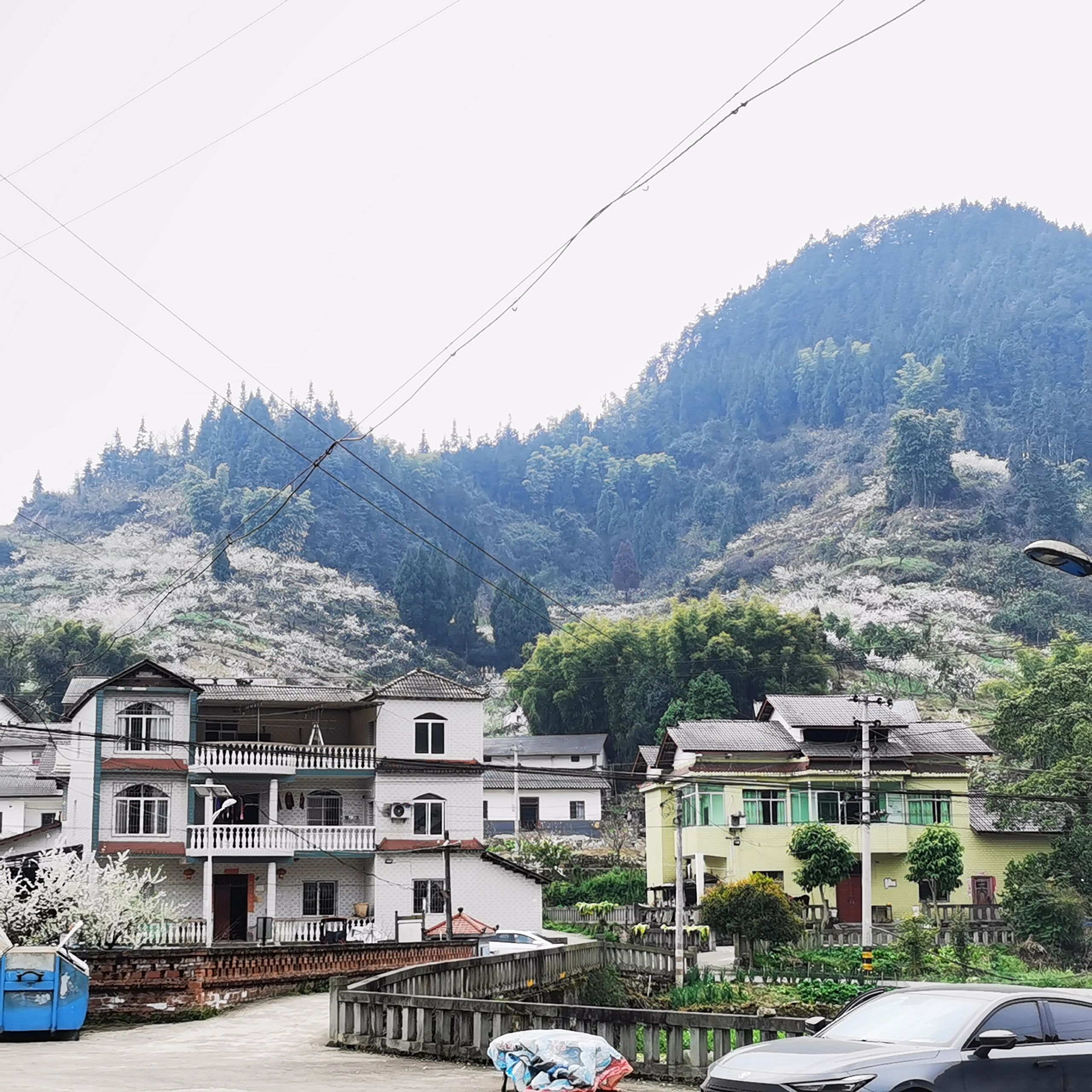 北碚印盒李花生态旅游区旅行图片 1
