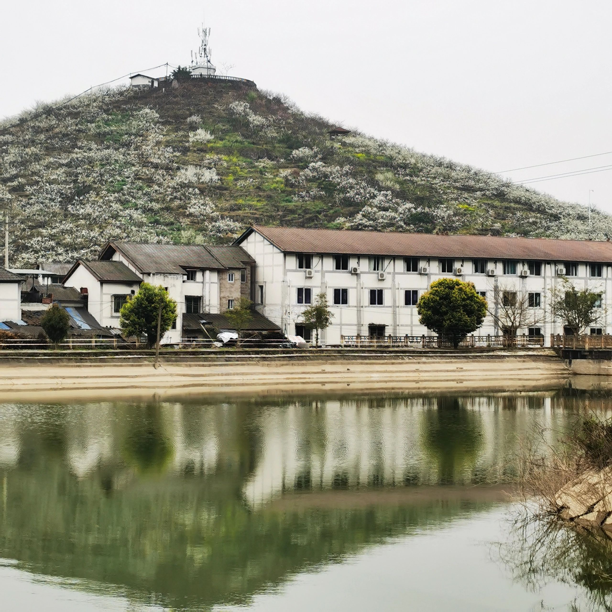 北碚印盒李花生态旅游区旅行图片 2