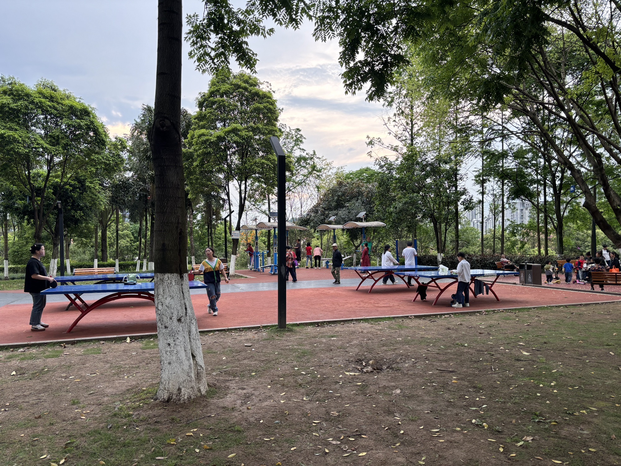 富悦果岭旅行图片 3