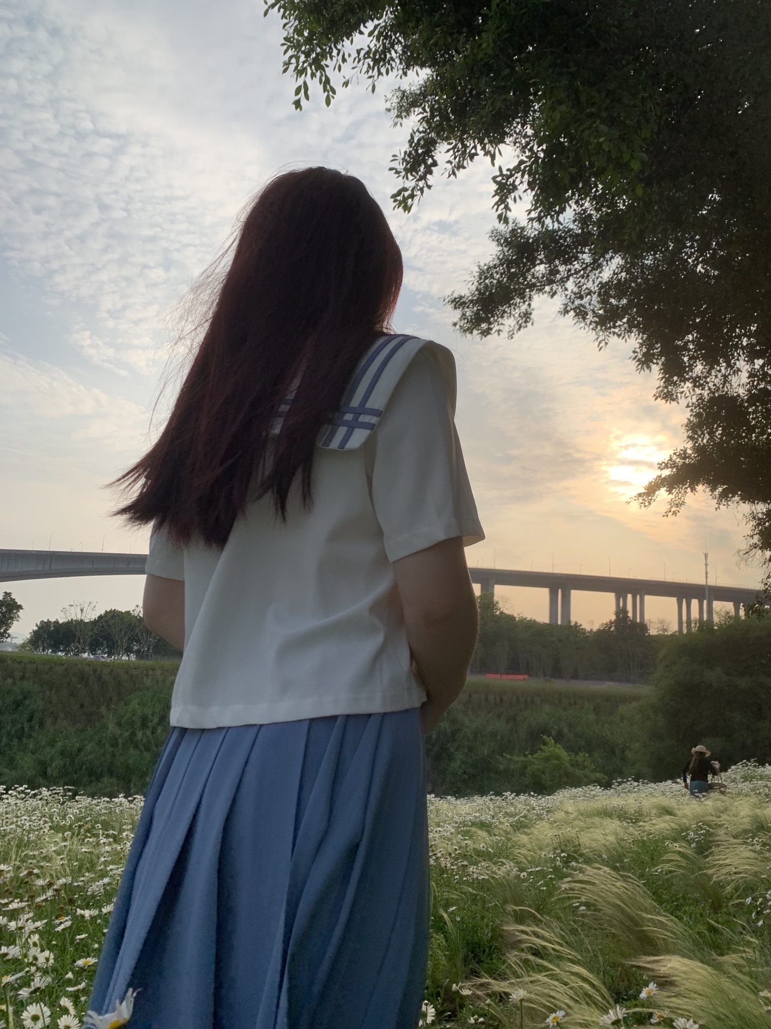 揽江公园旅行图片 2