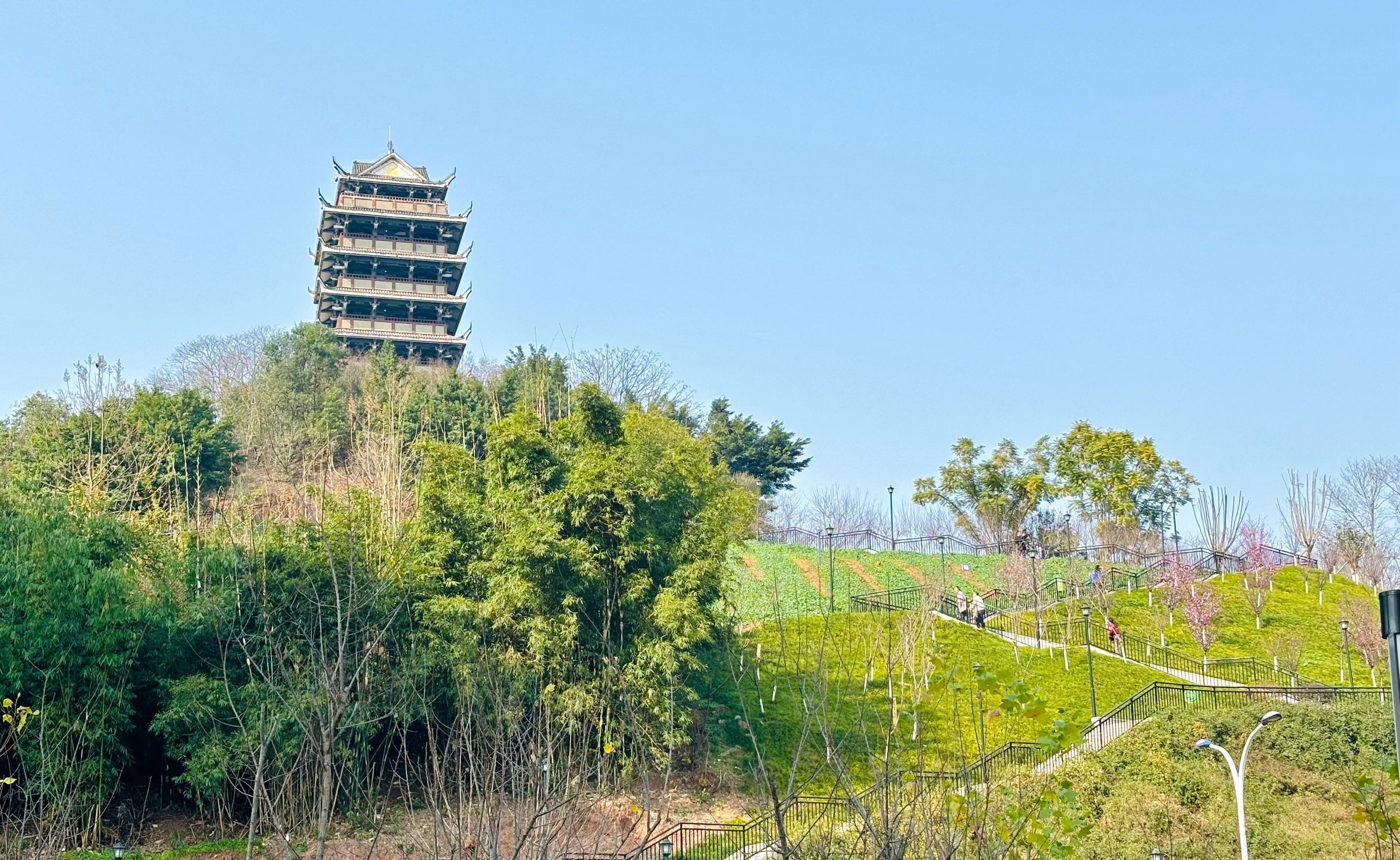 揽江公园旅行图片 2