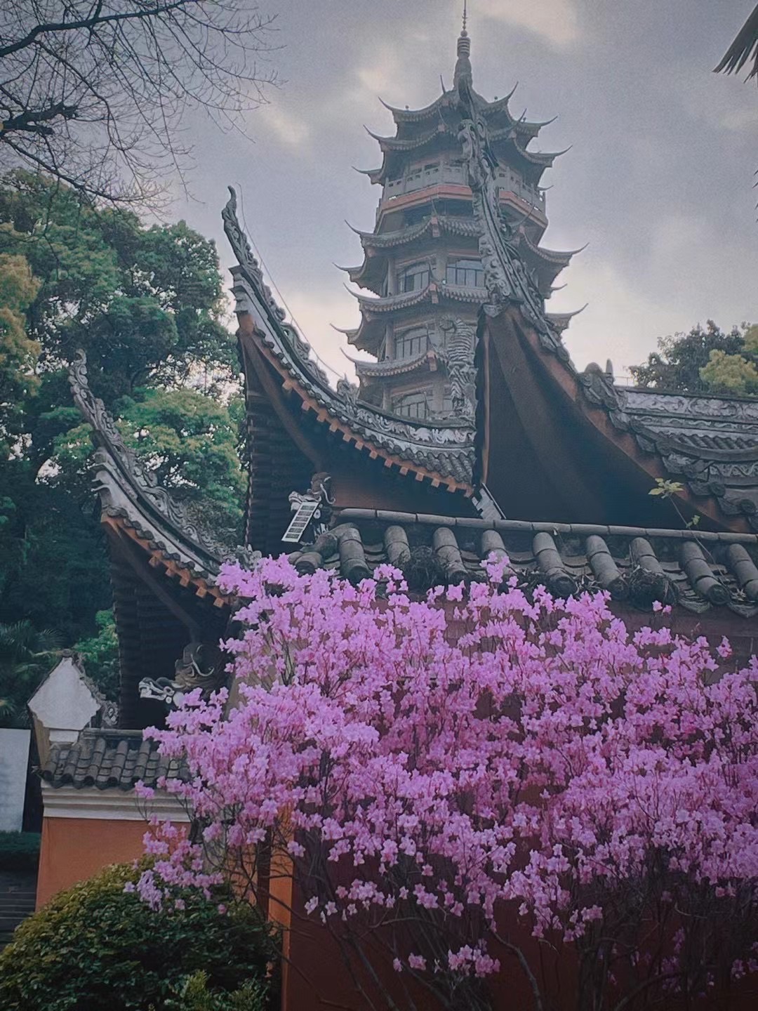 华岩旅游风景区旅行图片 1