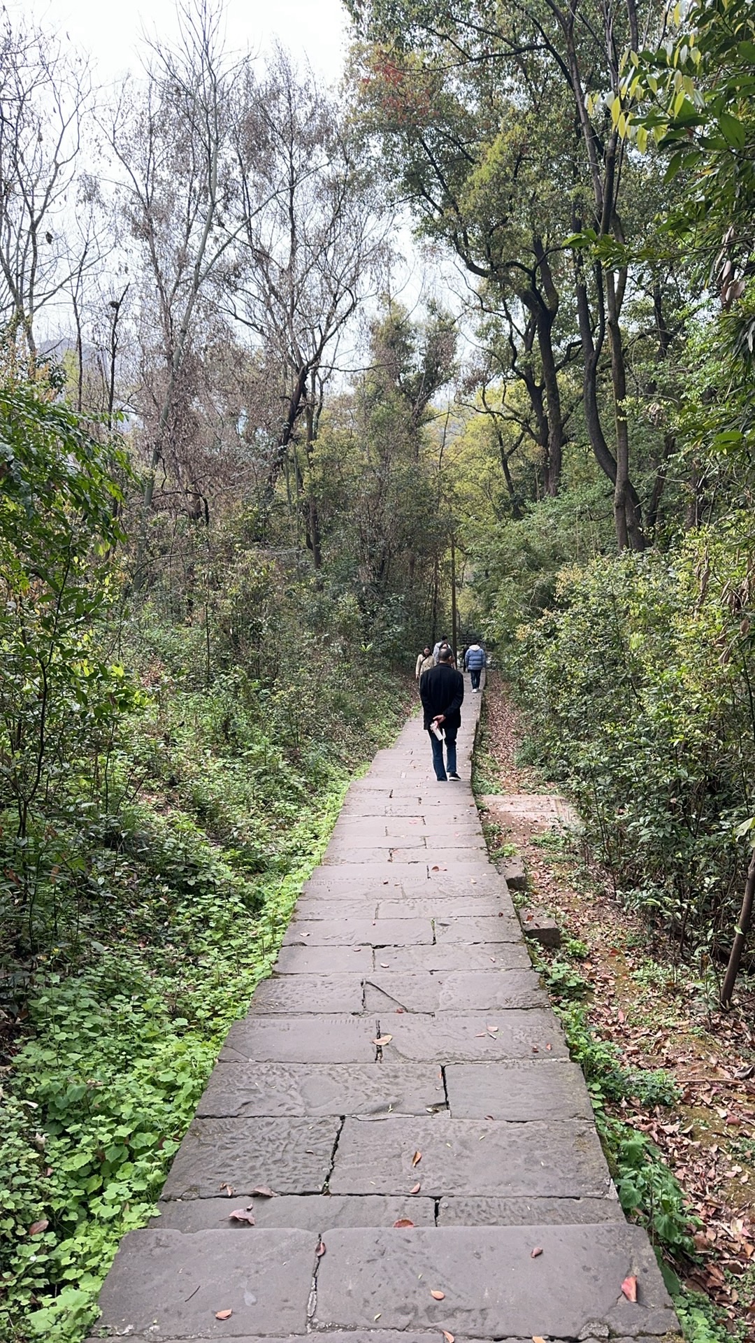华岩旅游风景区旅行图片 3
