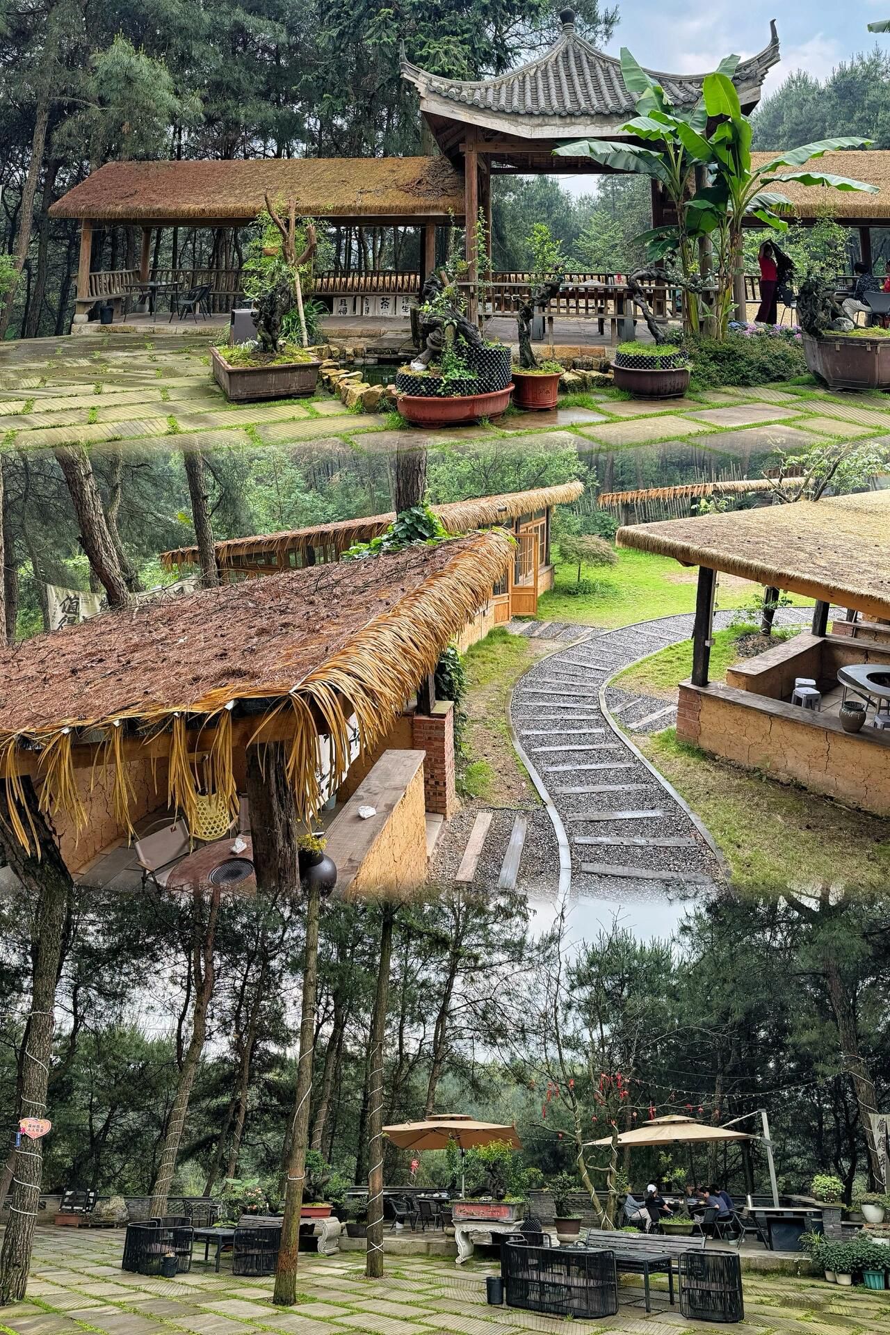 玉峰山森林公园旅行图片 3