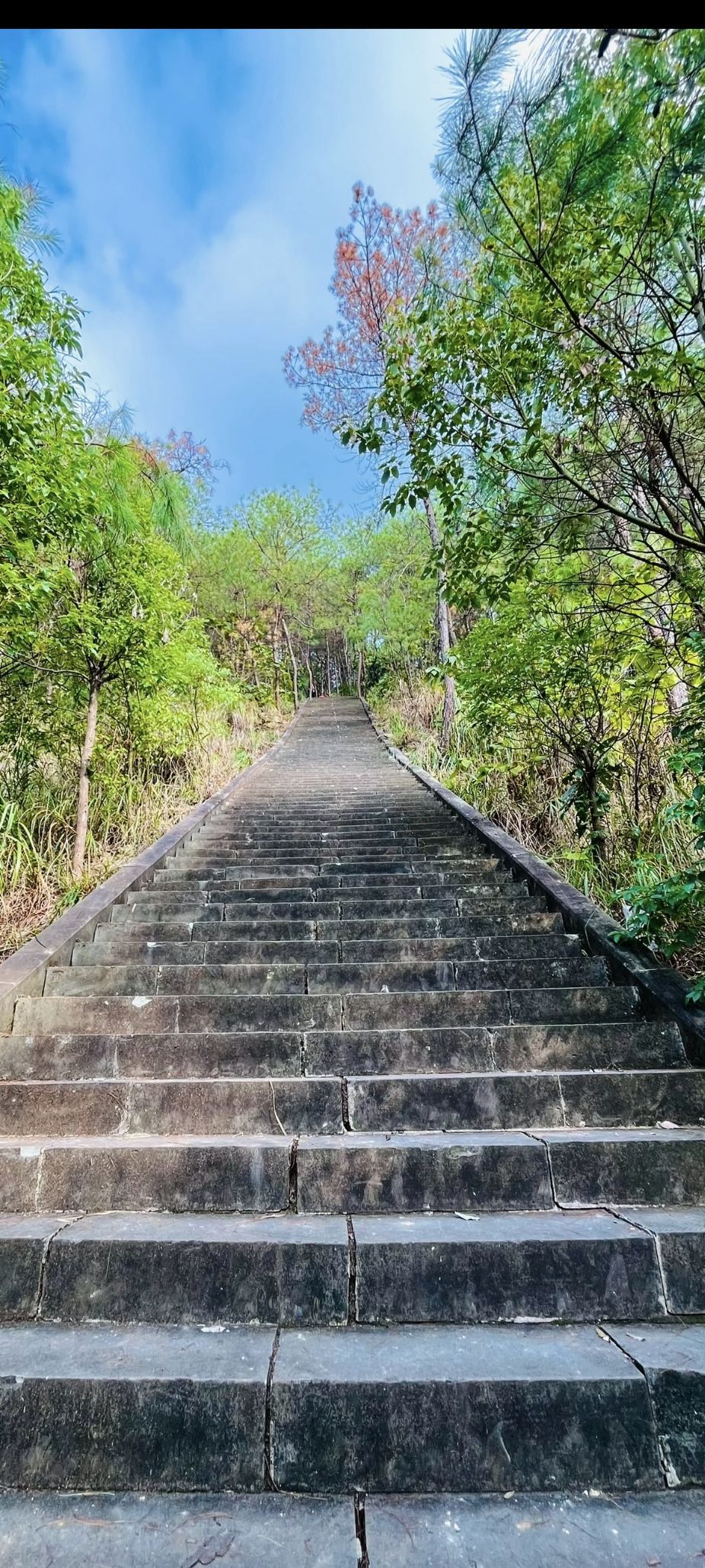 玉峰山森林公园旅行图片 2