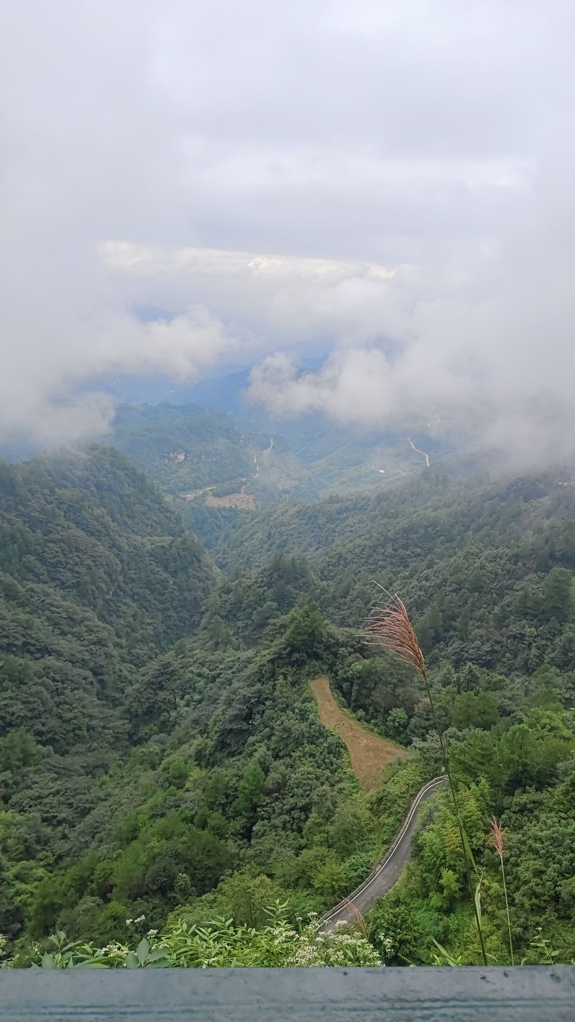 玉峰山森林公园旅行图片 1