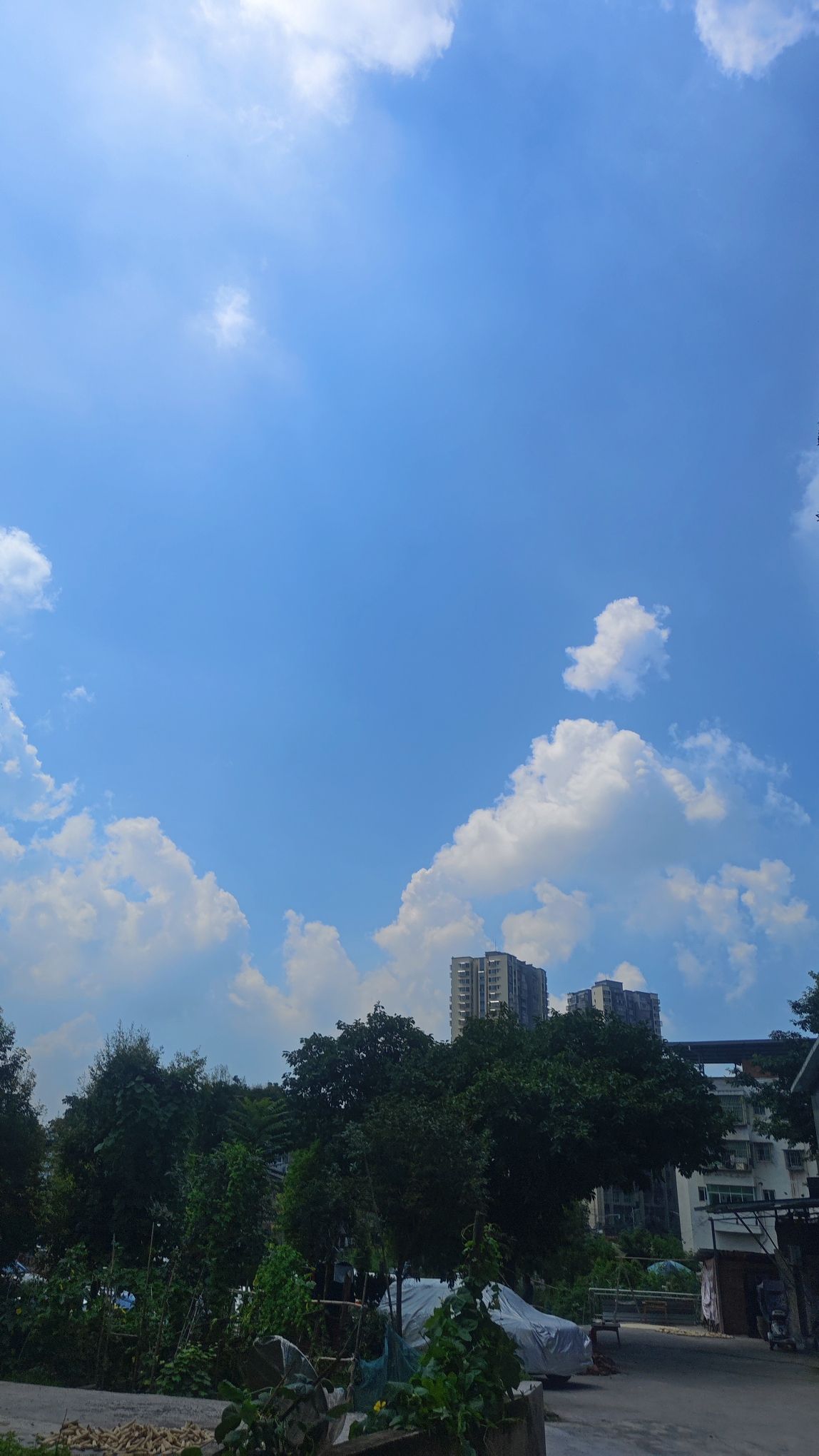 玉峰山森林公园旅行图片 3