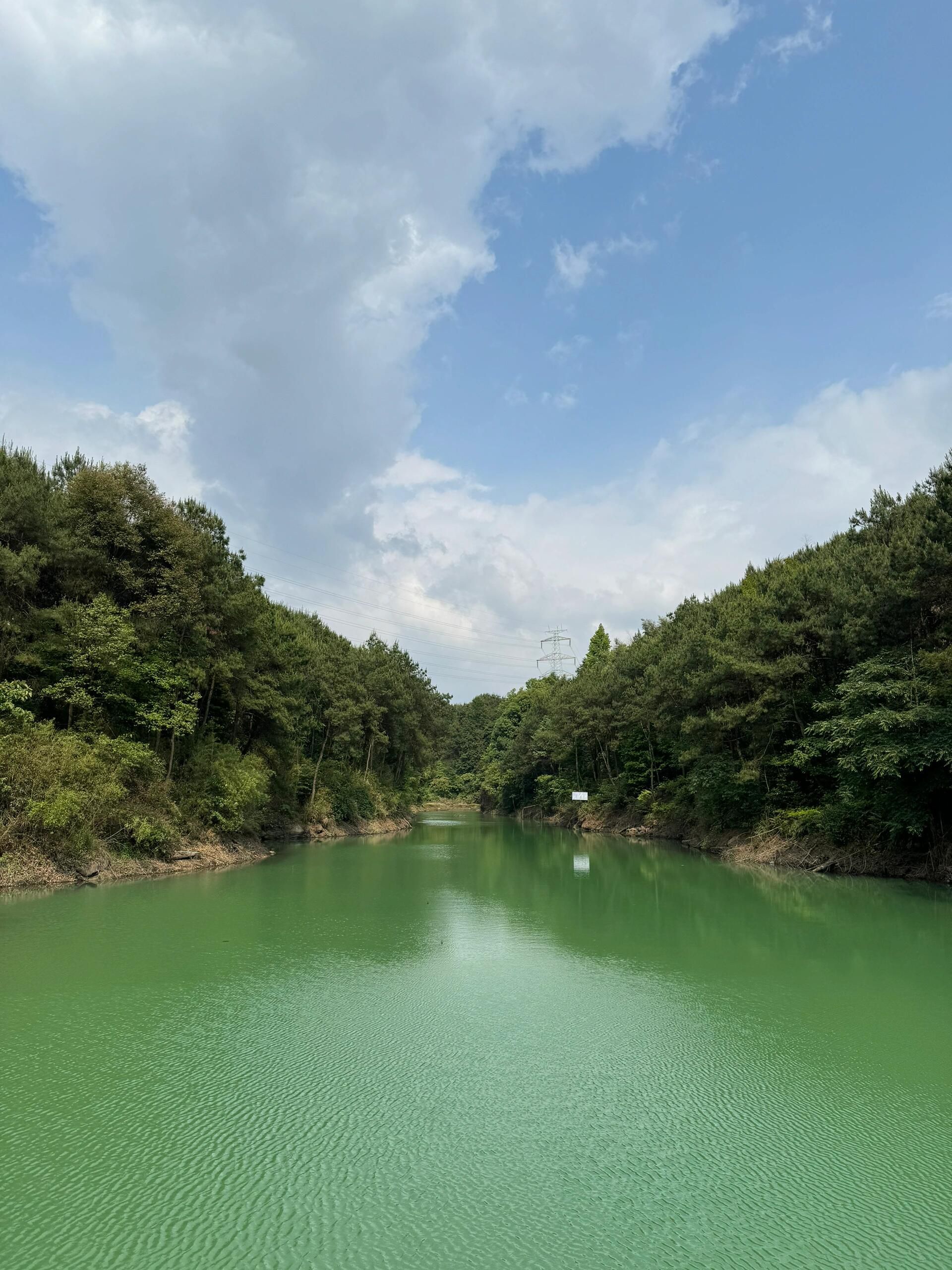 玉峰山森林公园旅行图片 1