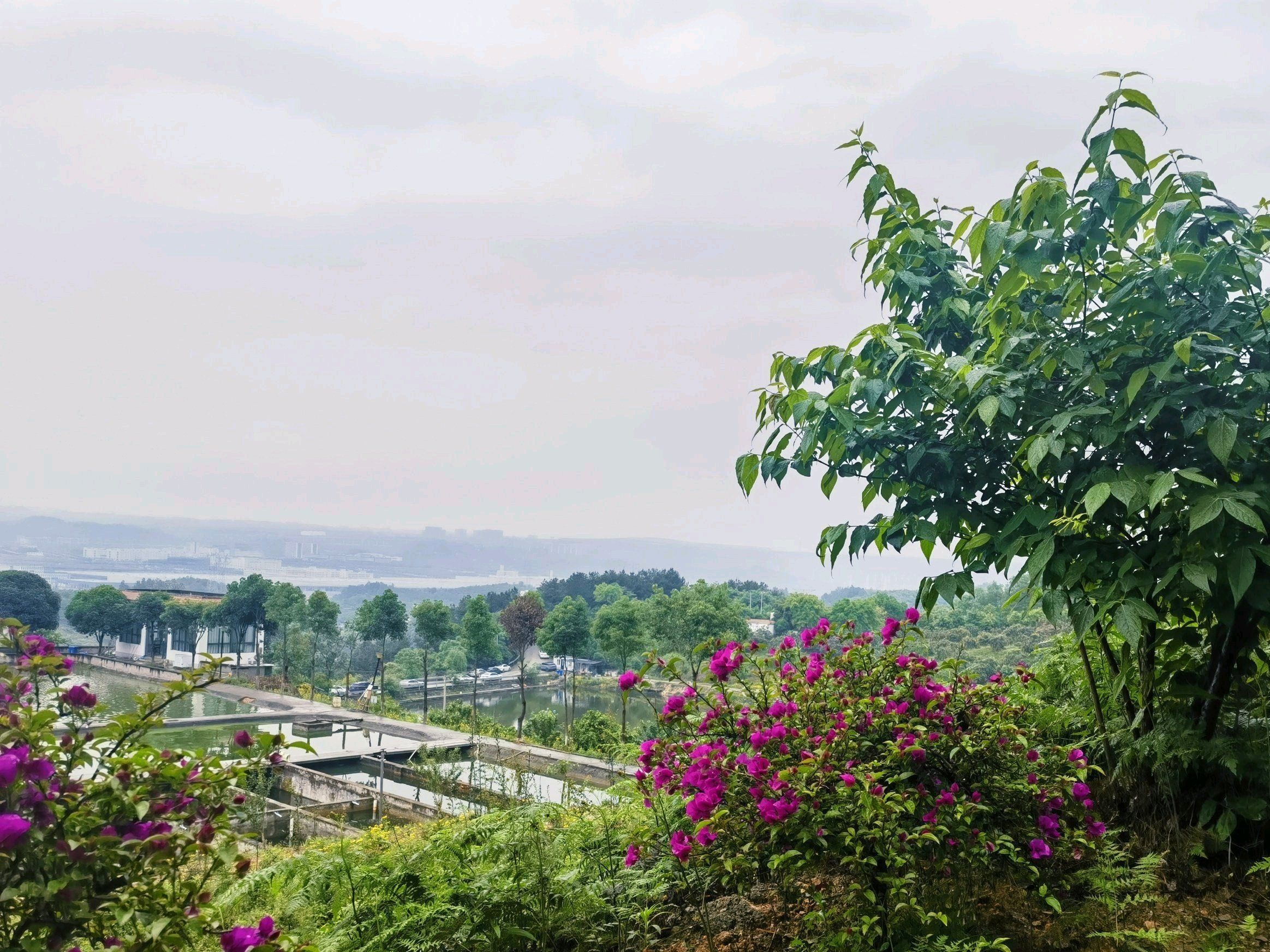 玉峰山森林公园旅行图片 3