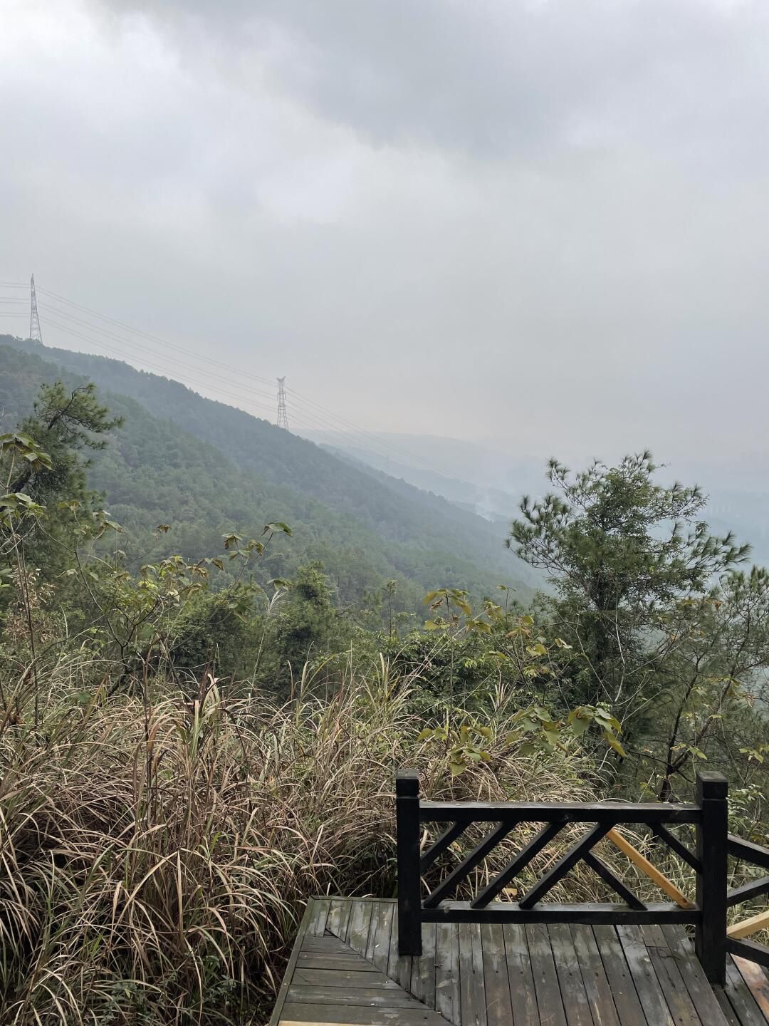 玉峰山森林公园旅行图片 3