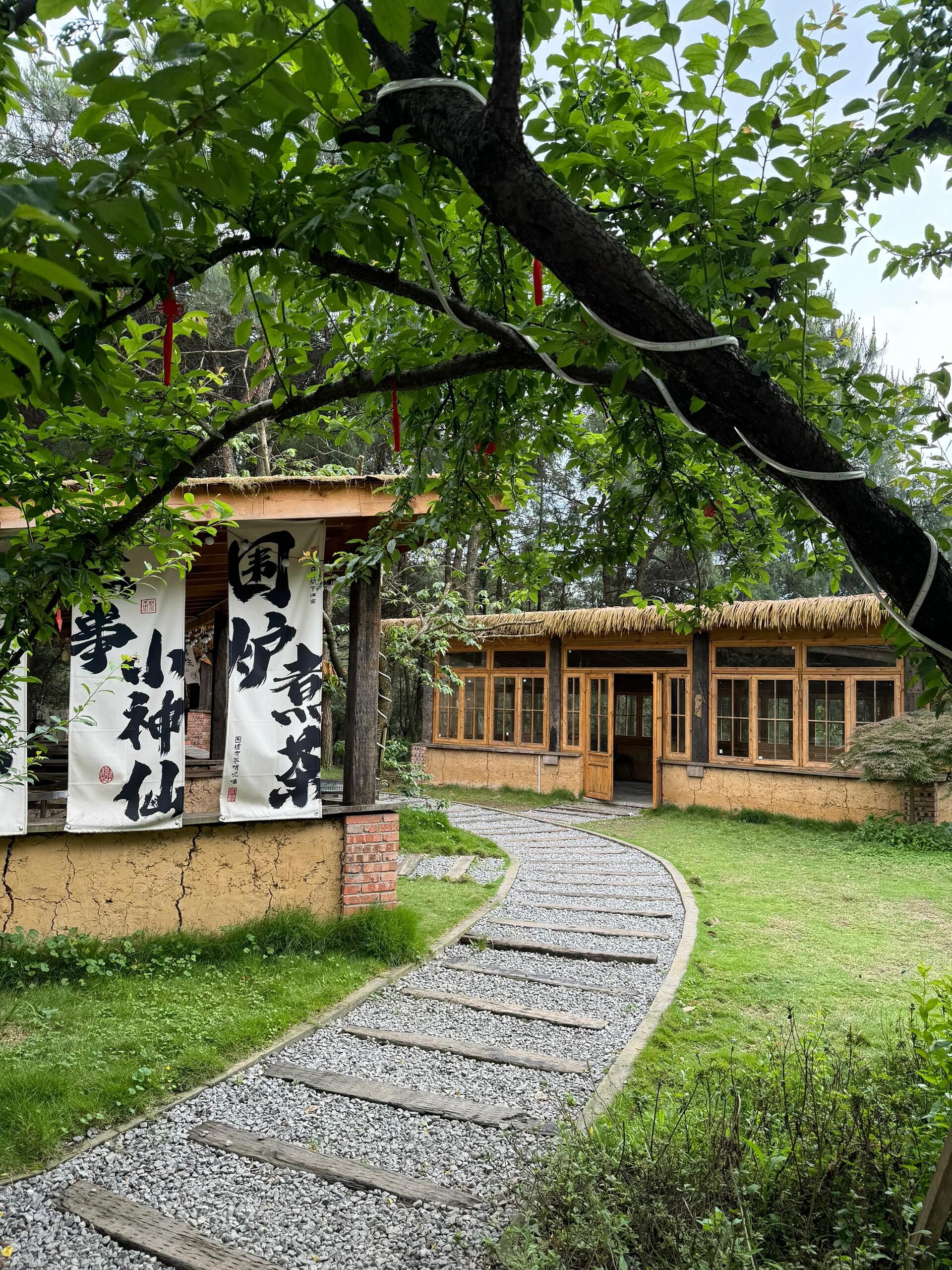 玉峰山森林公园旅行图片 2