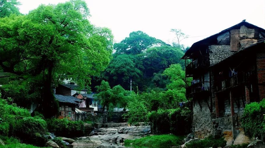 龙兴古镇旅行图片 1