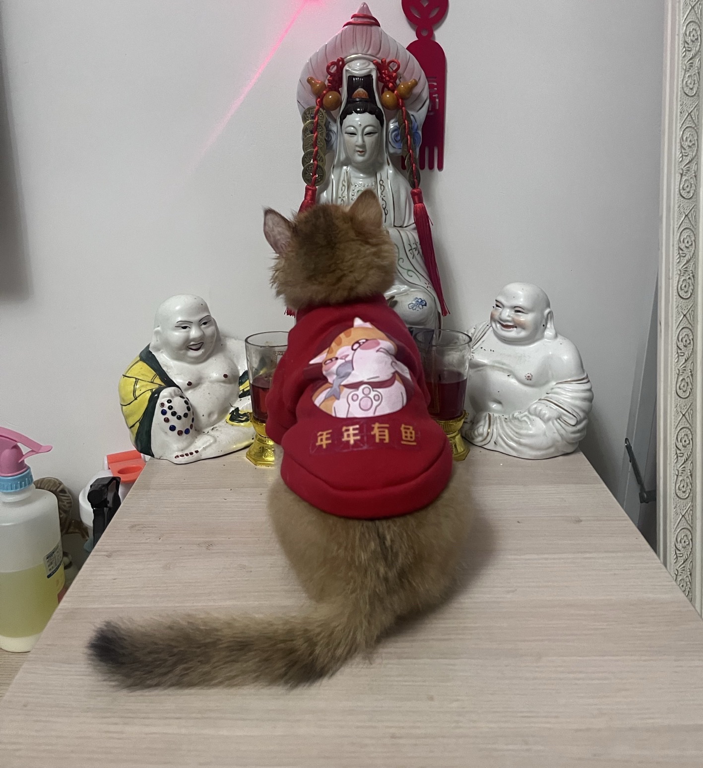高镇文化广场旅行图片 1