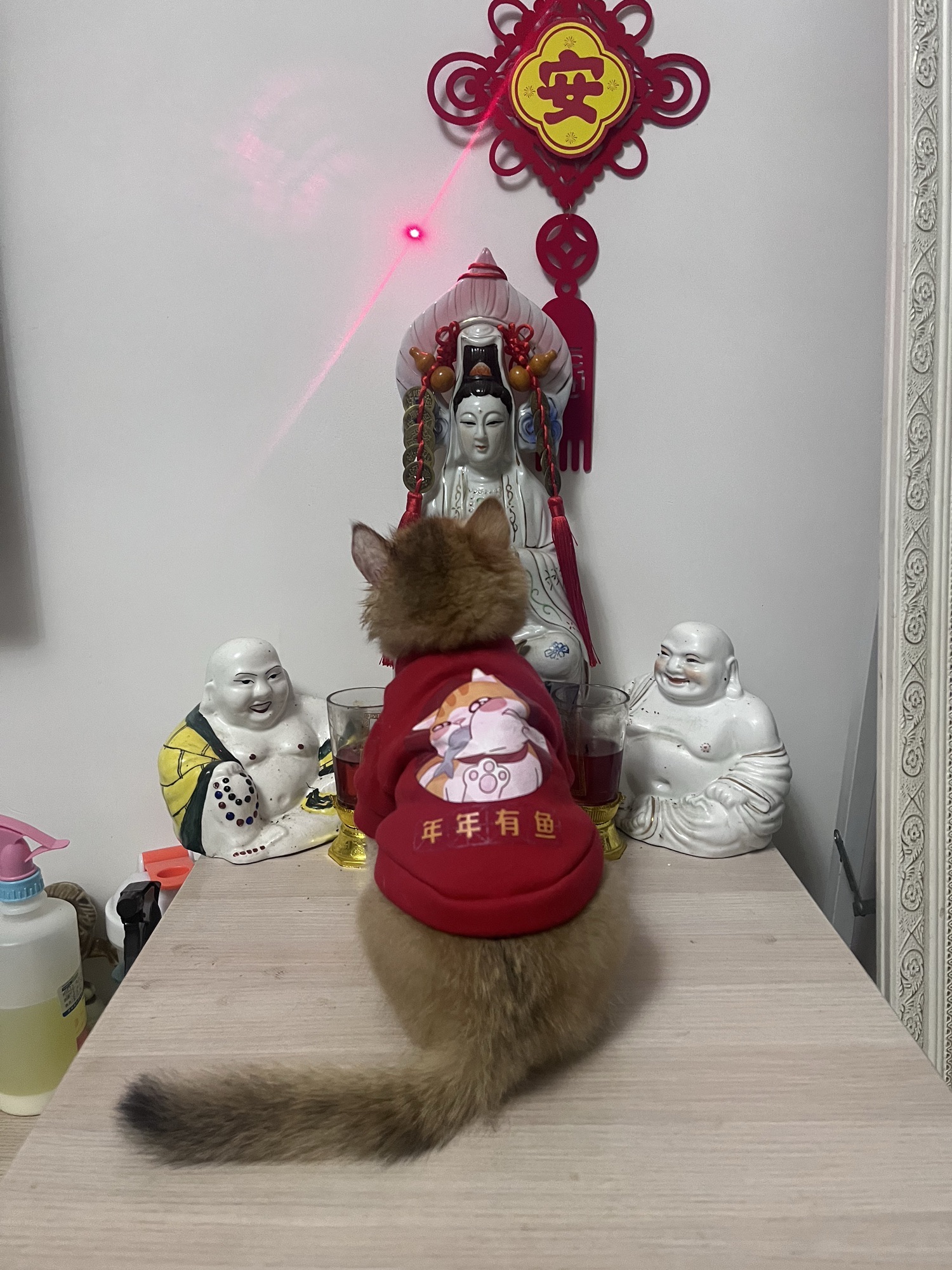 高镇文化广场旅行图片 2