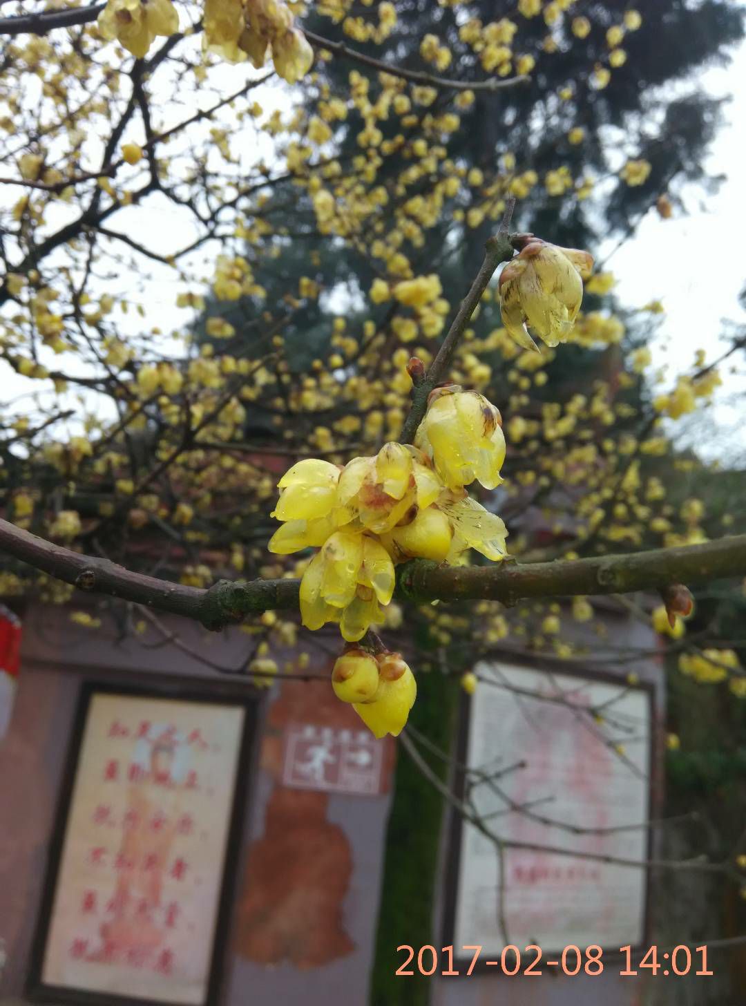 古剑山森林公园旅行图片 3