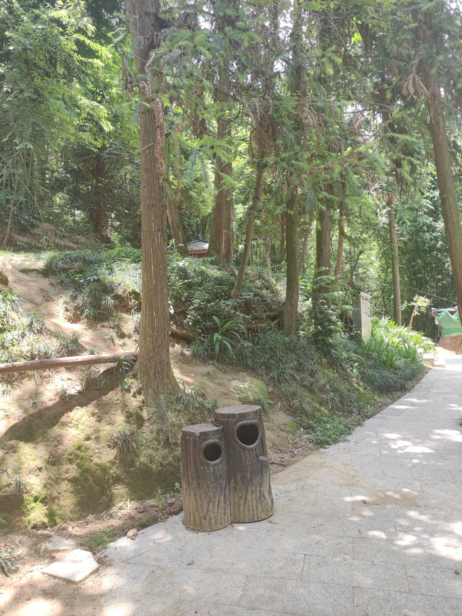 金剑山森林公园旅行图片 2