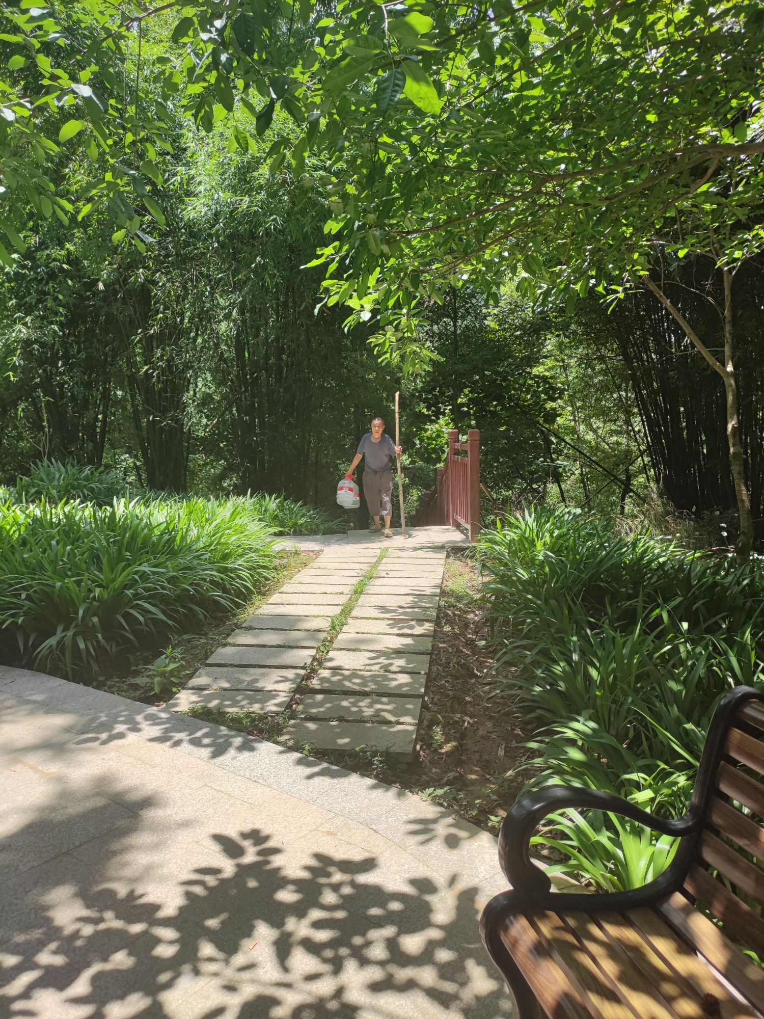 金剑山森林公园旅行图片 3