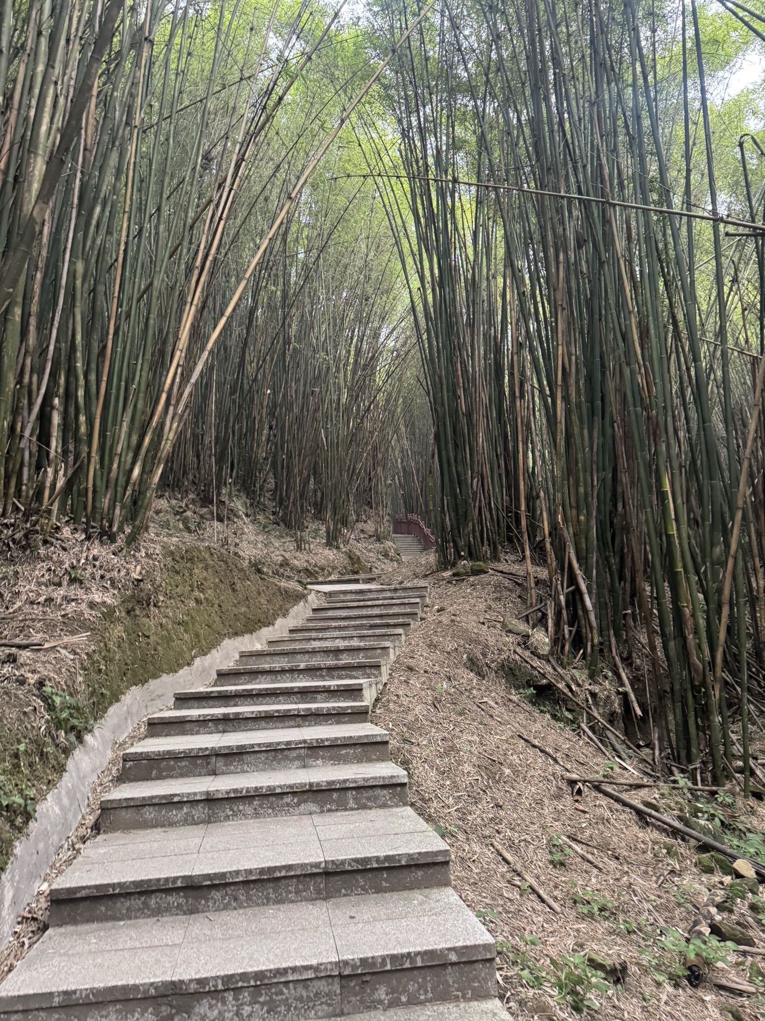 金剑山森林公园旅行图片 2