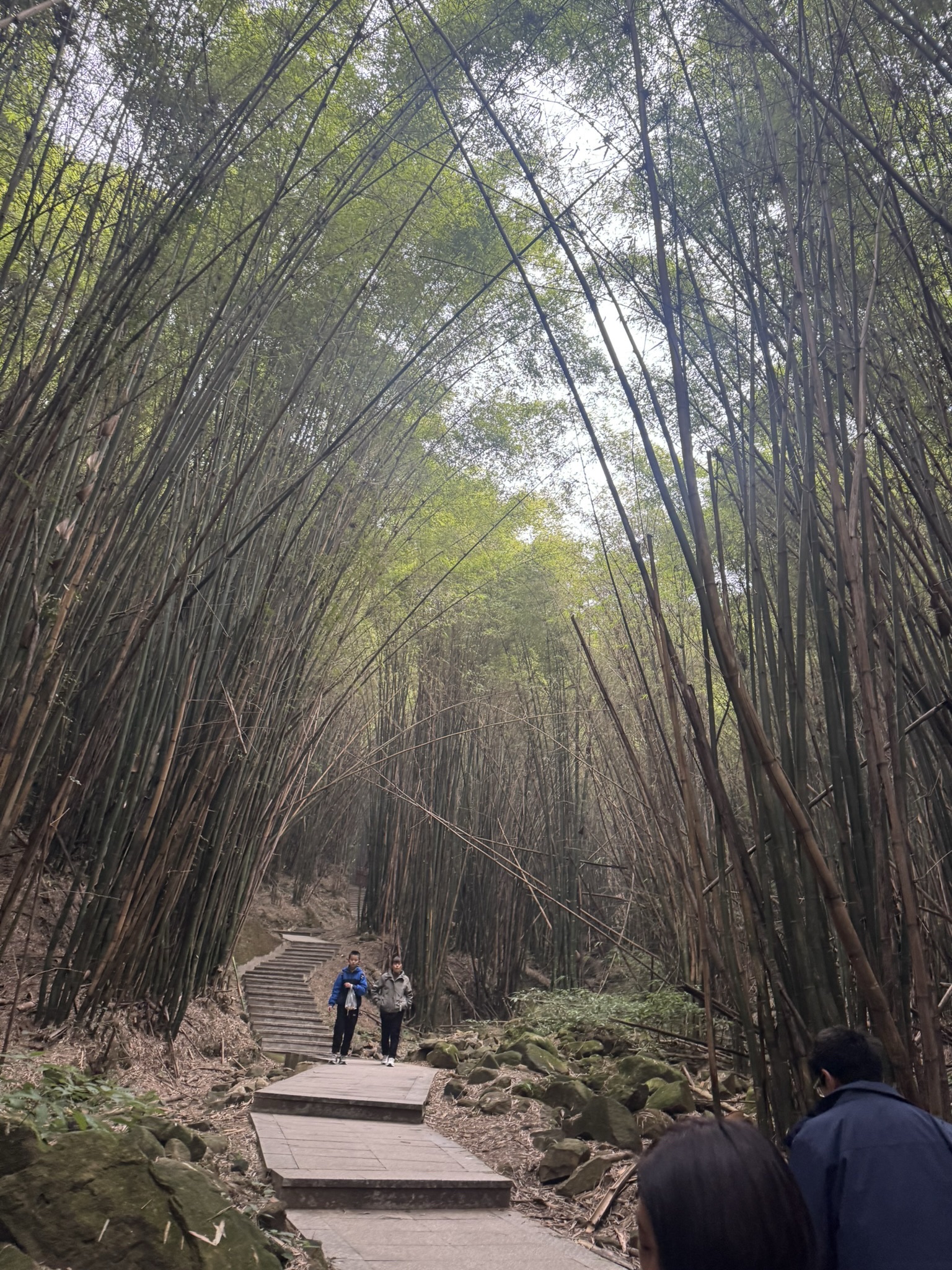 金剑山森林公园旅行图片 3