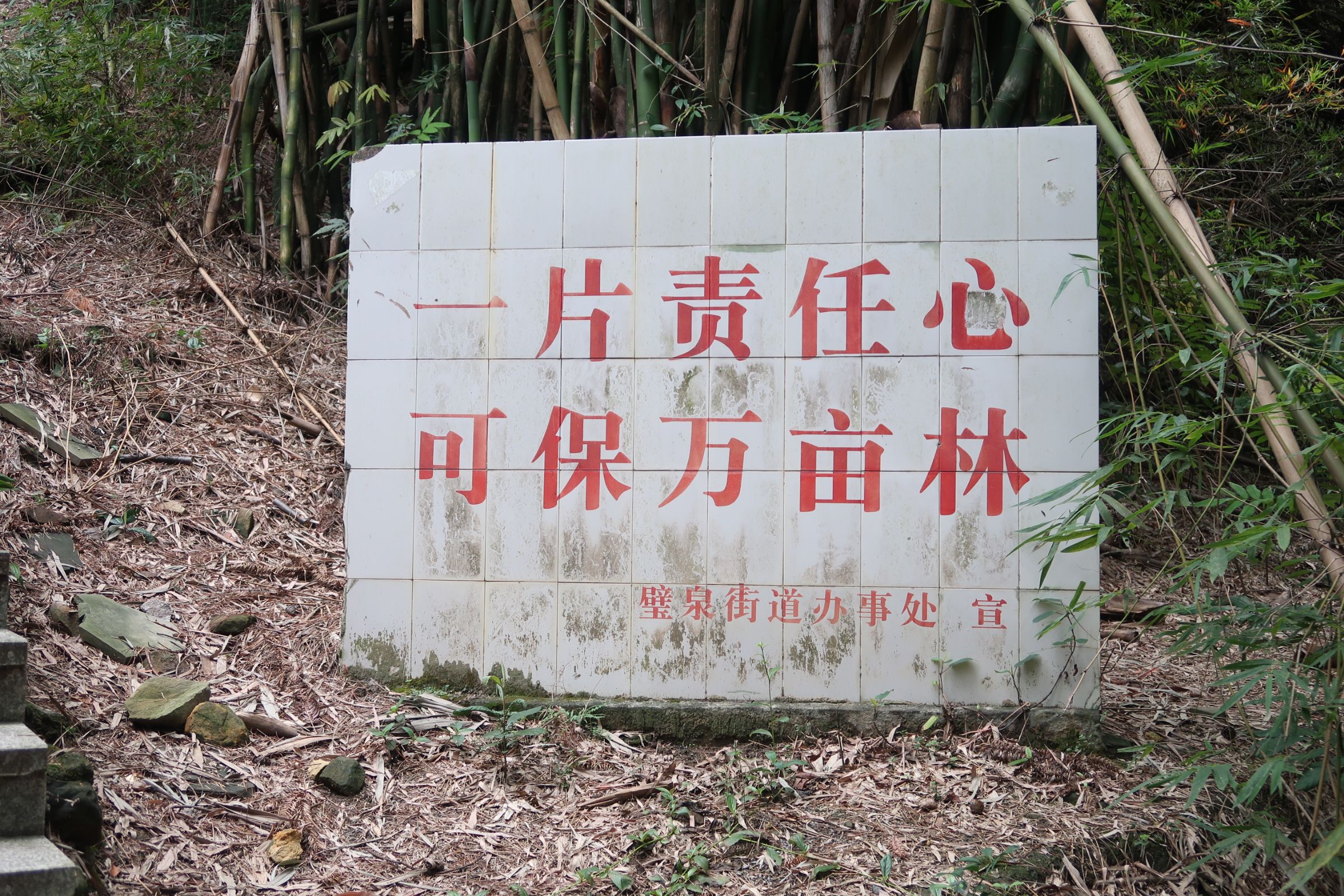 金剑山森林公园旅行图片 3