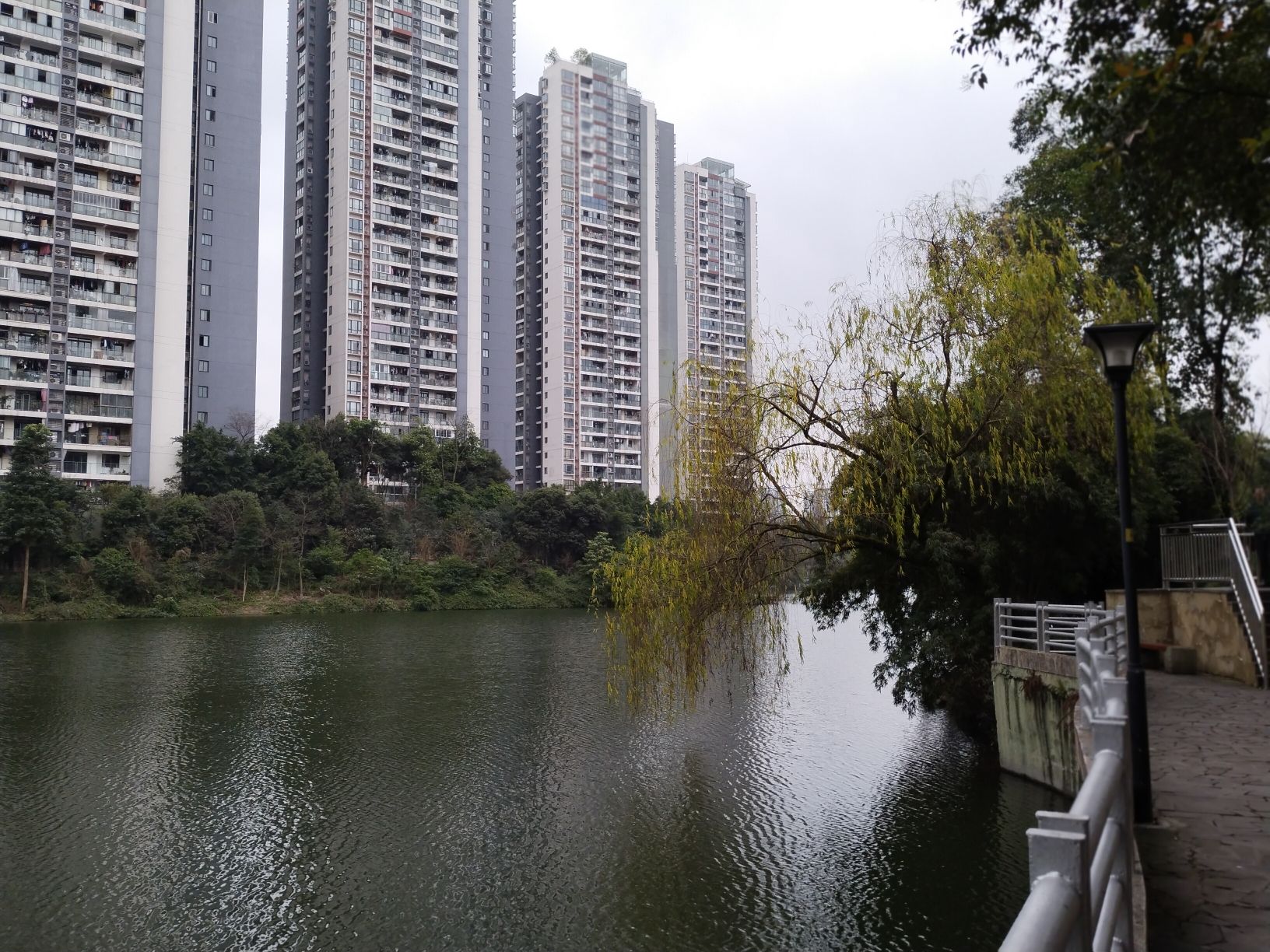 宝圣湖公园旅行图片 1