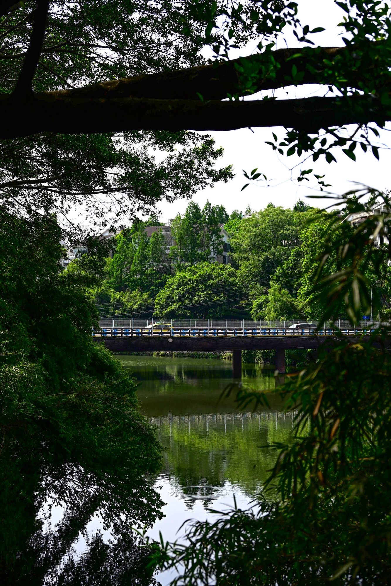宝圣湖公园旅行图片 2