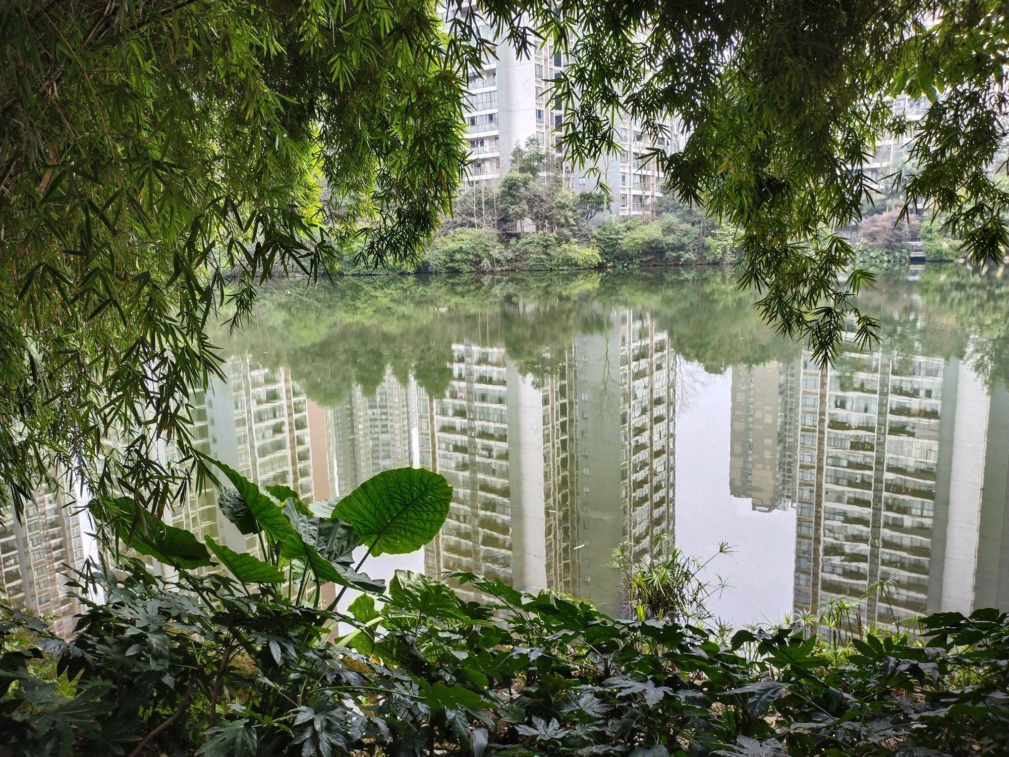 宝圣湖公园旅行图片 3