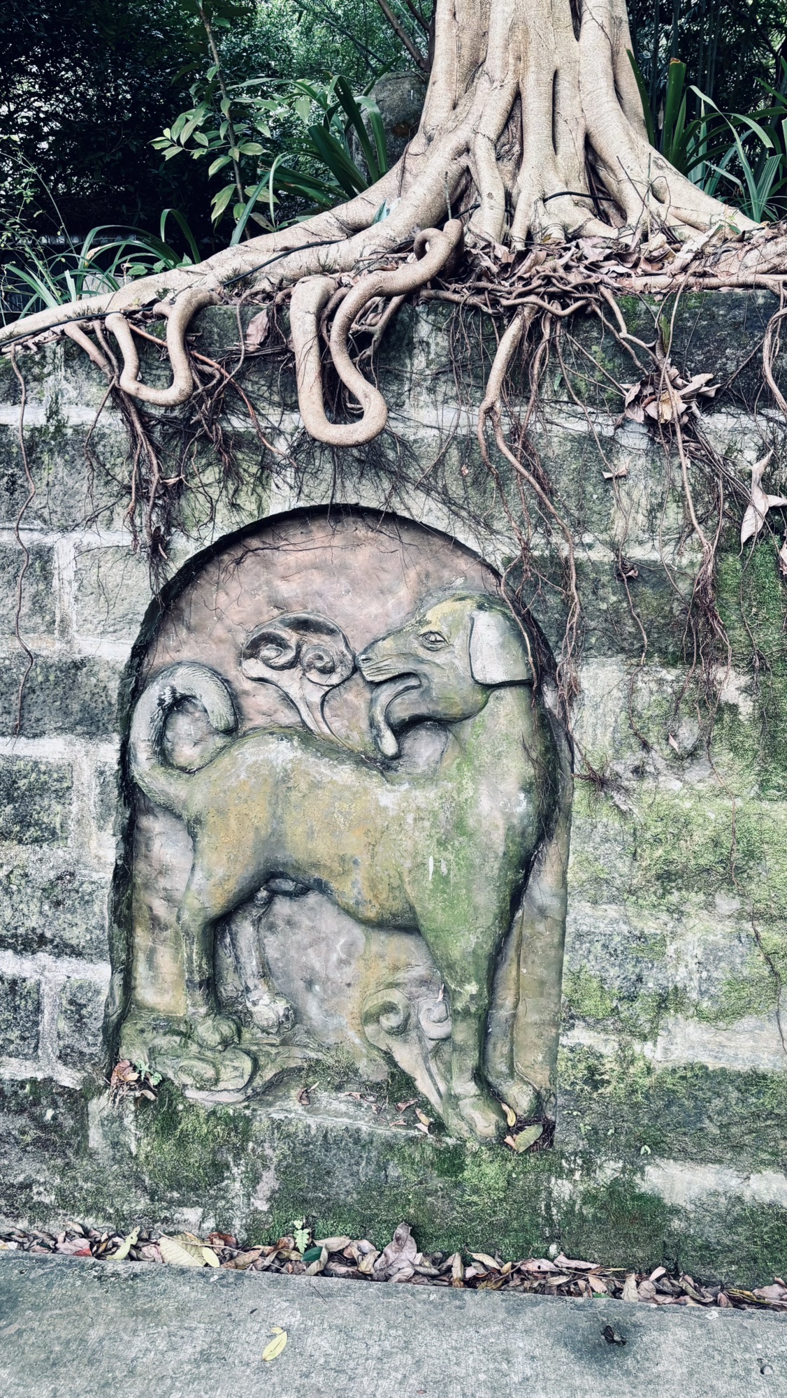 东温泉风景区旅行图片 1