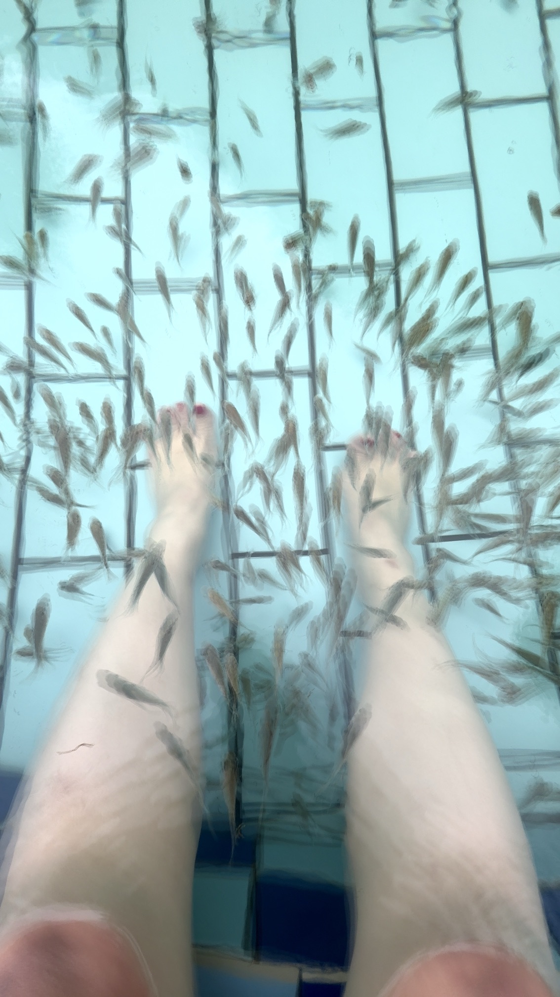 东温泉风景区旅行图片 1