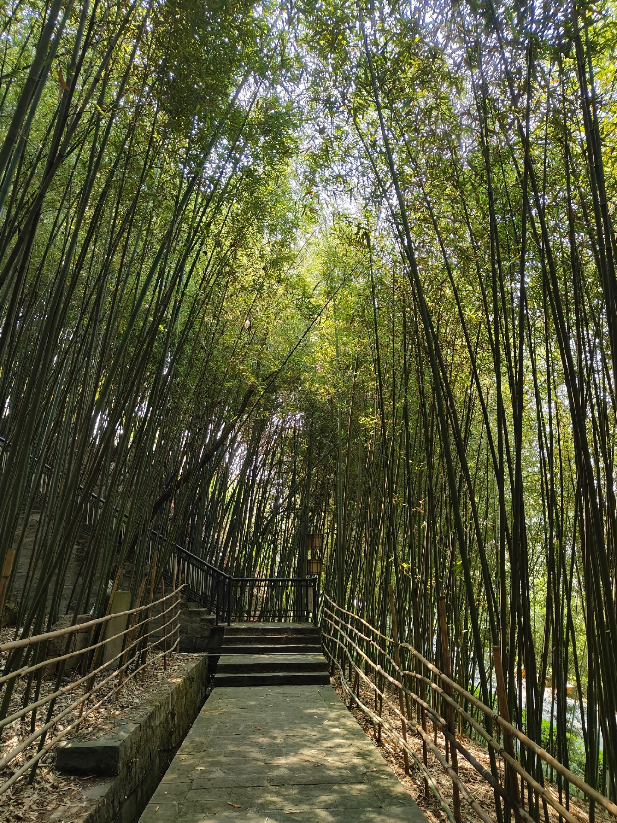 烟灯山公园旅行图片 2