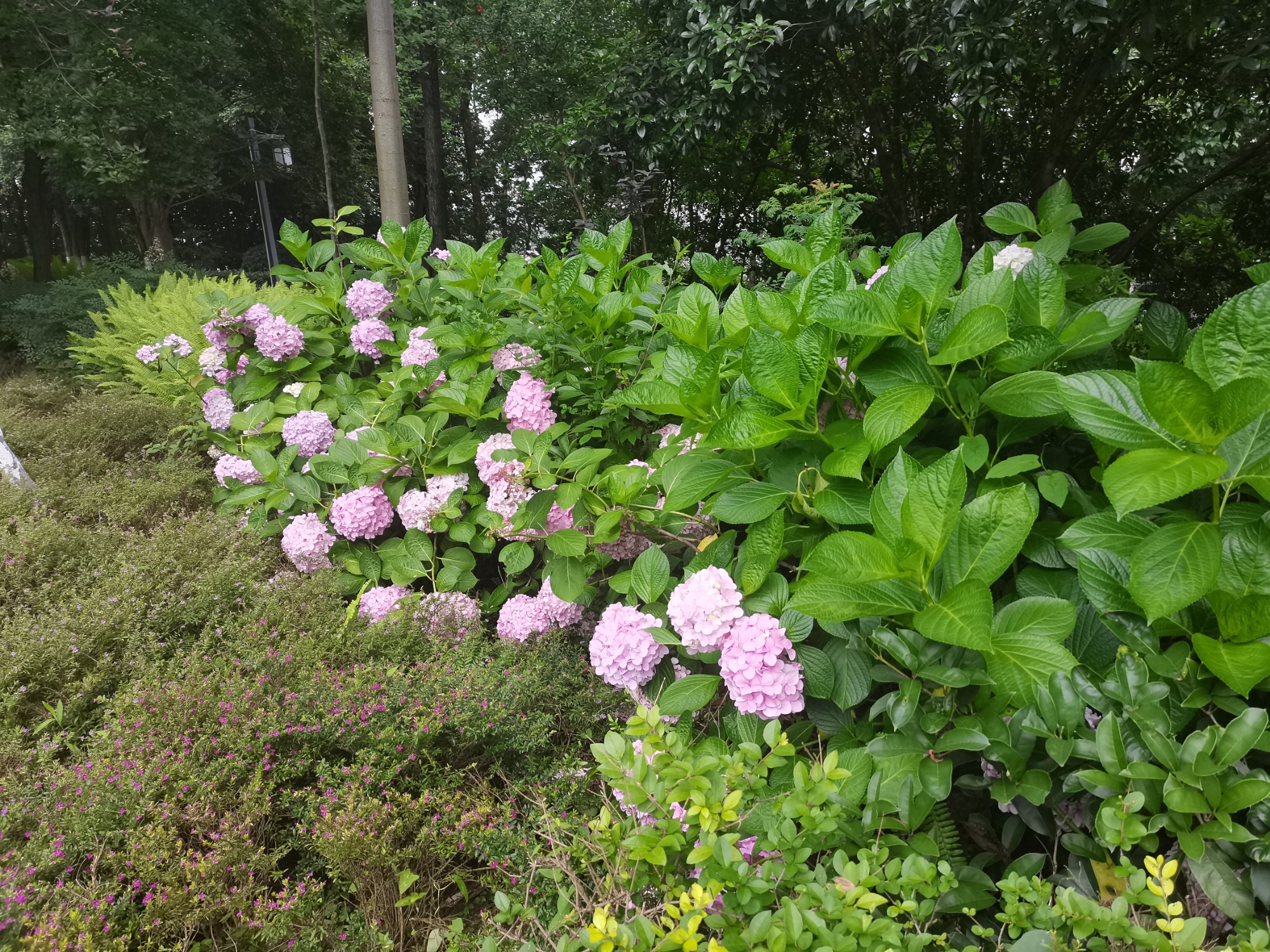 烟灯山公园旅行图片 3