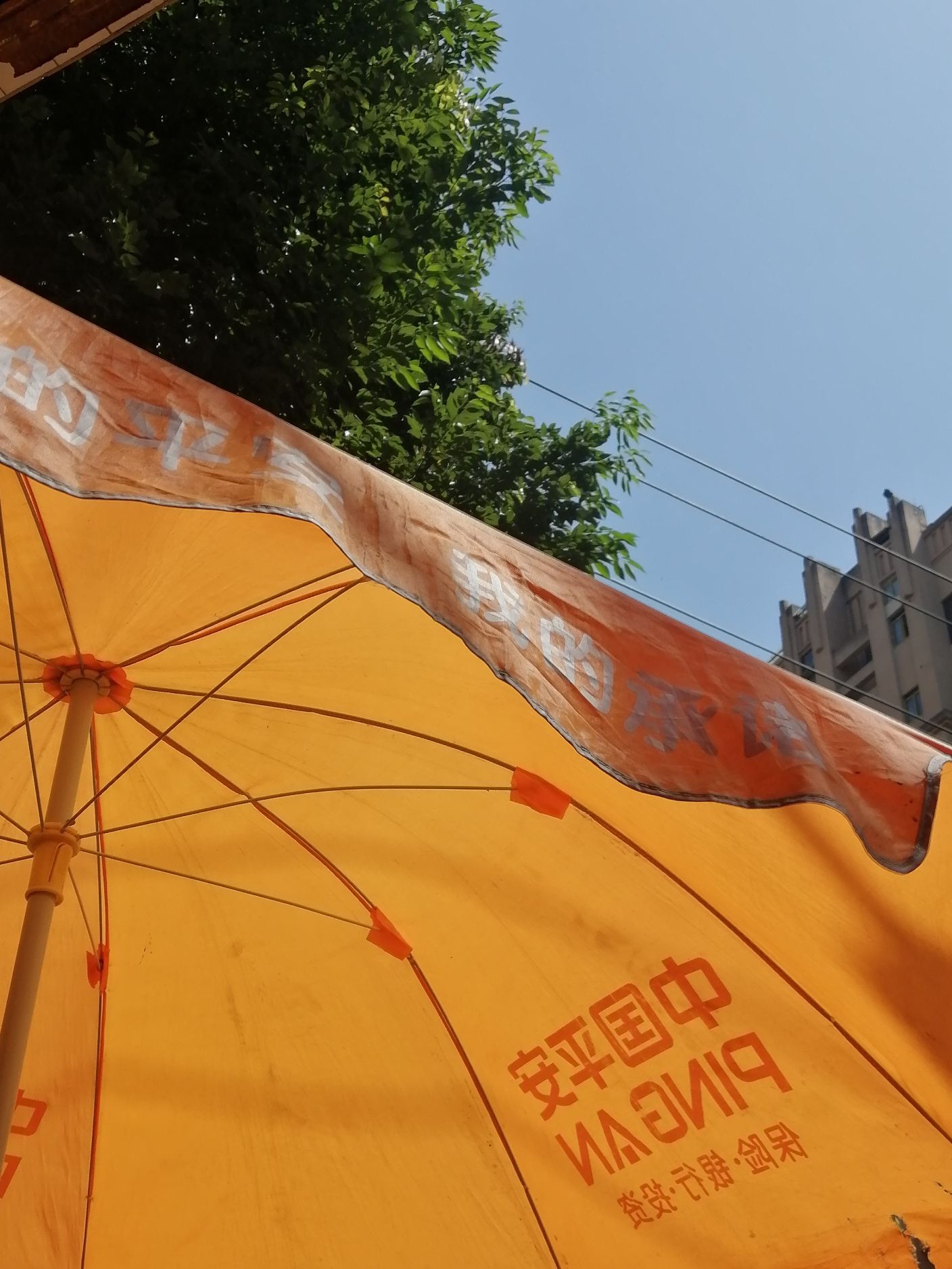 玉泉公园旅行图片 3